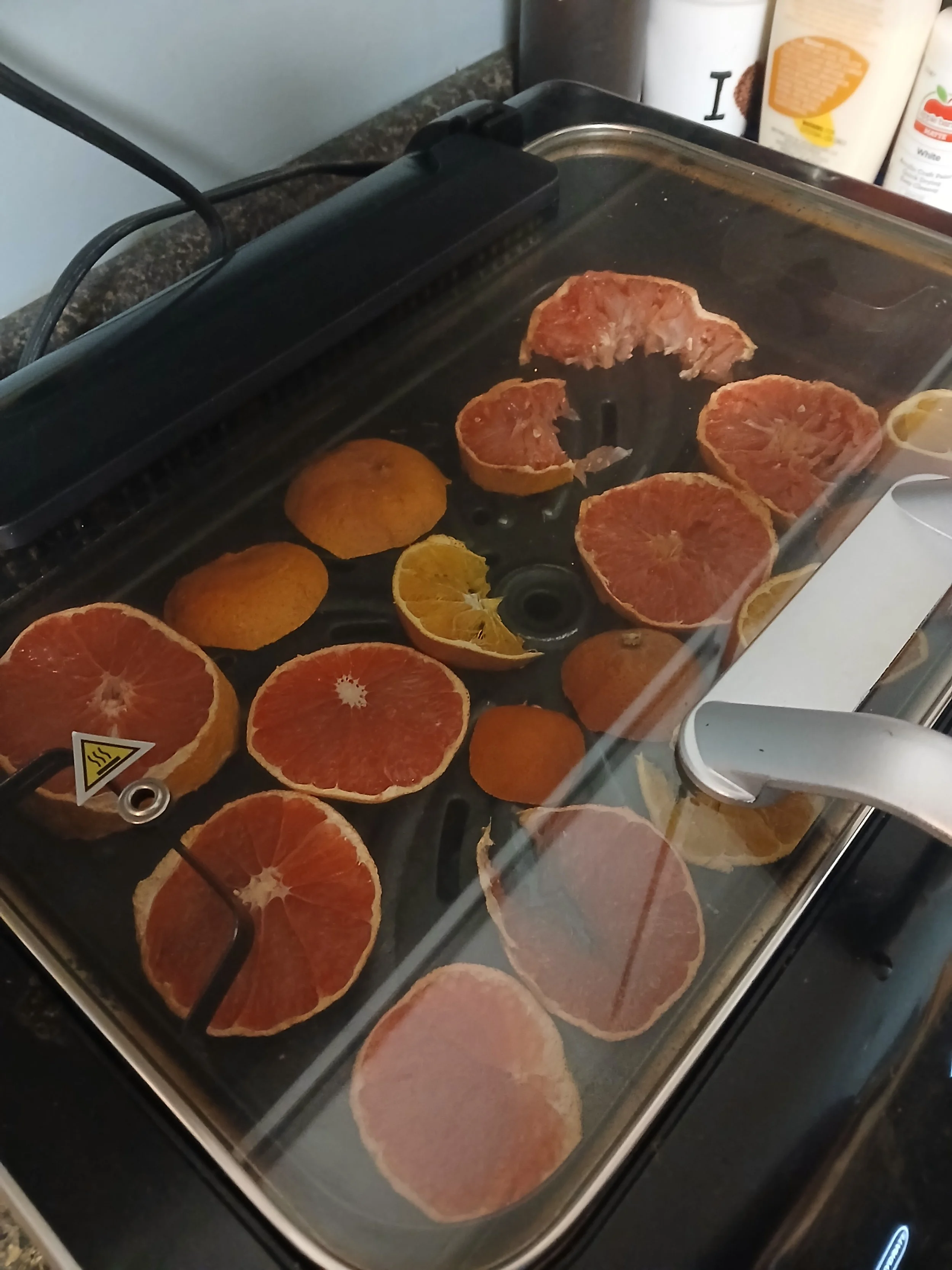 Dehydrated Citrus Fruit