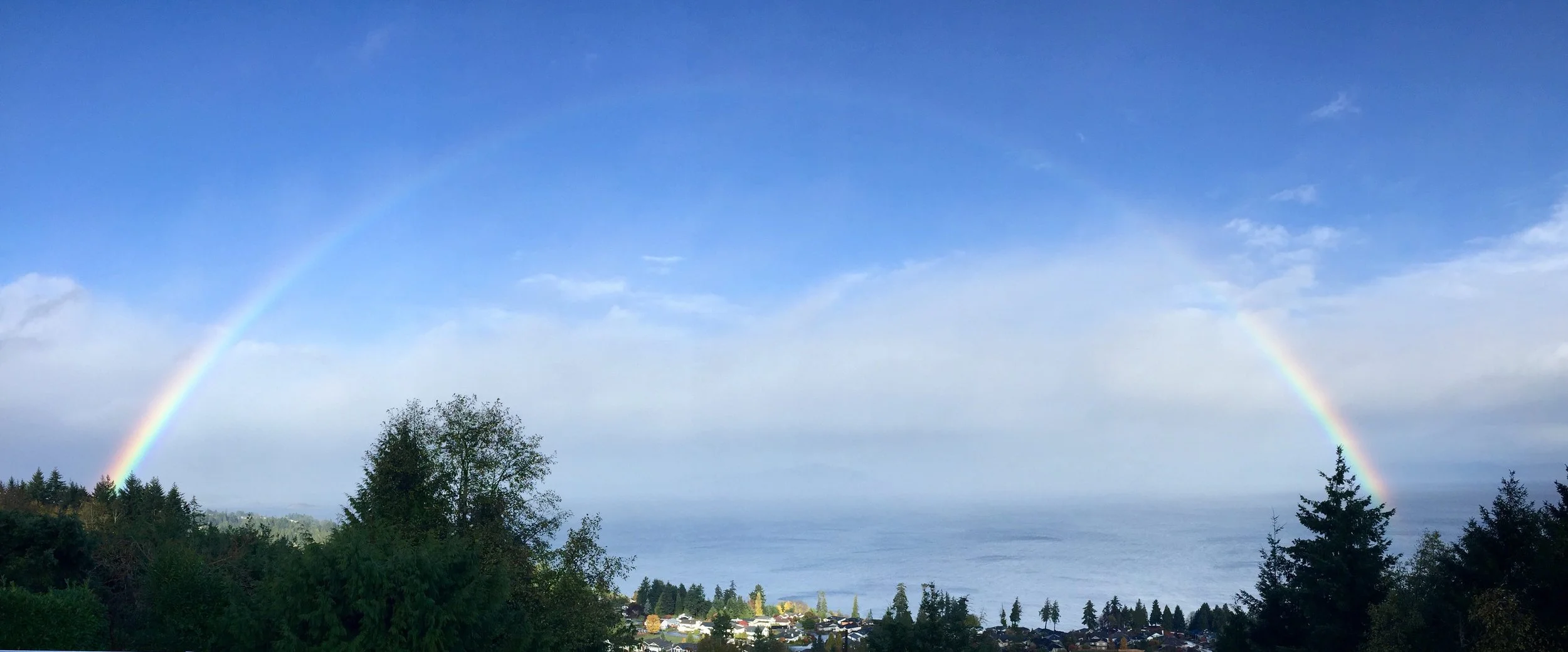 Rainbow over a coastal area with trees, houses, and the ocean, under a partly cloudy sky.