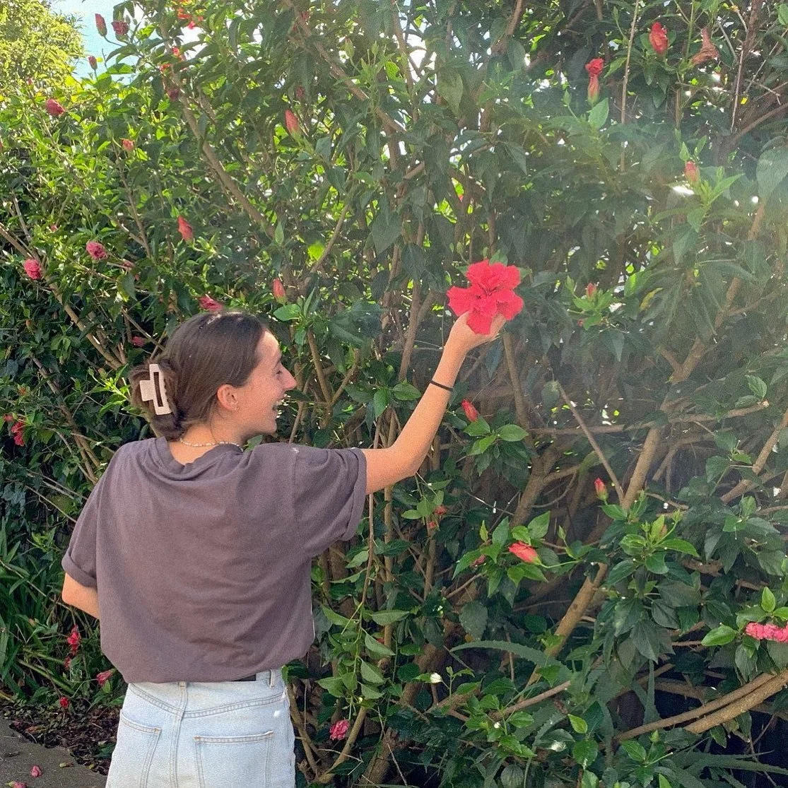 We have been experiencing great amounts of rain keeping our flowers healthy and our tanks full 🌸🌷

Feeling grateful to live here and host such gorgeous people and be surrounded by nature! 

#waihekeisland #flowerslovers #bedandbreakfast