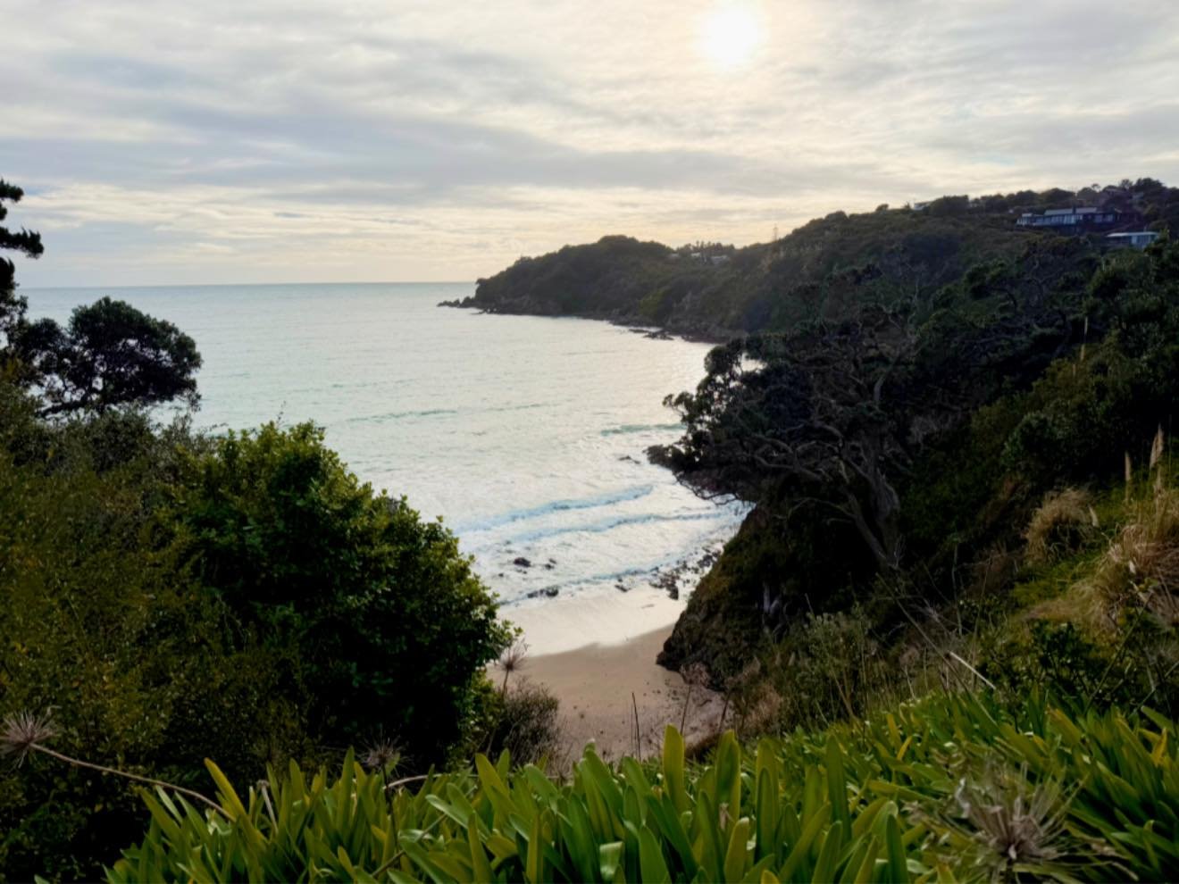 Winter on Waiheke might just be even more stunning than summer ✨

Warm sunshine, beautiful nature, peaceful walks and that total sense of zen that Waiheke does so well. 💚

Kiwihouse is just a stone&rsquo;s throw from Little Oneroa &mdash; come, unwi