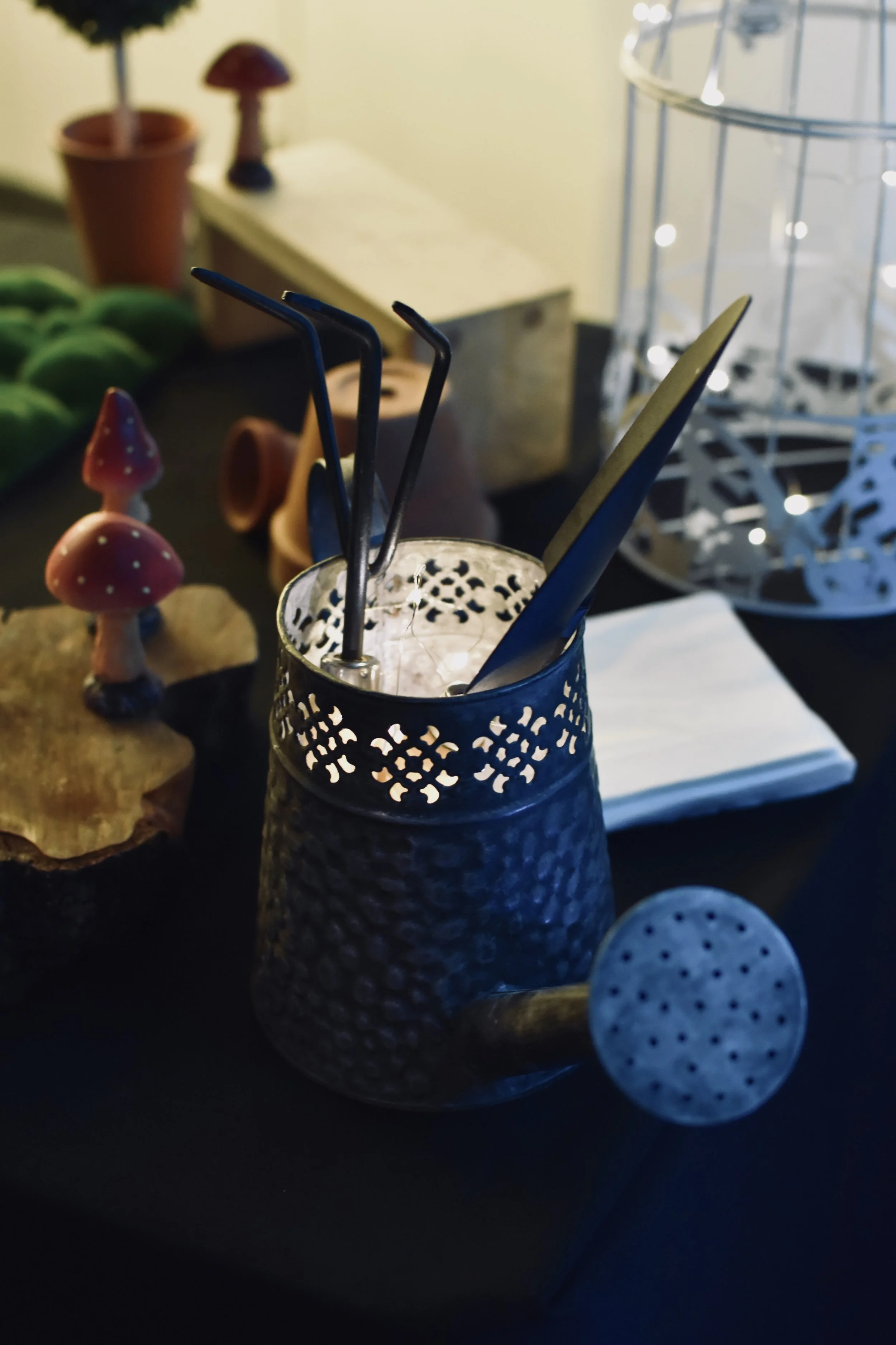 DSC_0177.jpeg