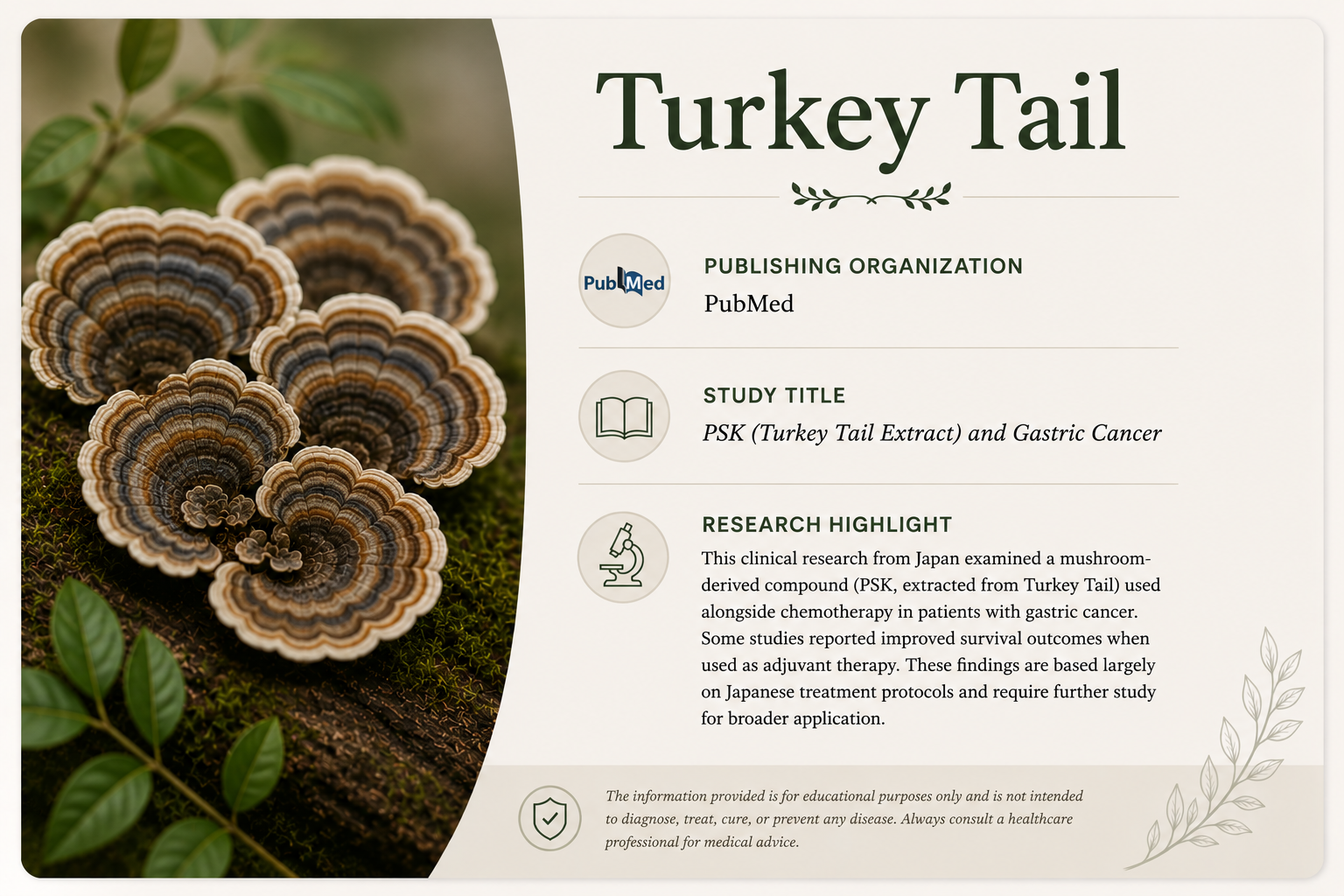 Close-up of turkey tail fungi on mossy log, with green leaves in the foreground, and a scientific research poster about turkey tail mushroom extract and gastric cancer.