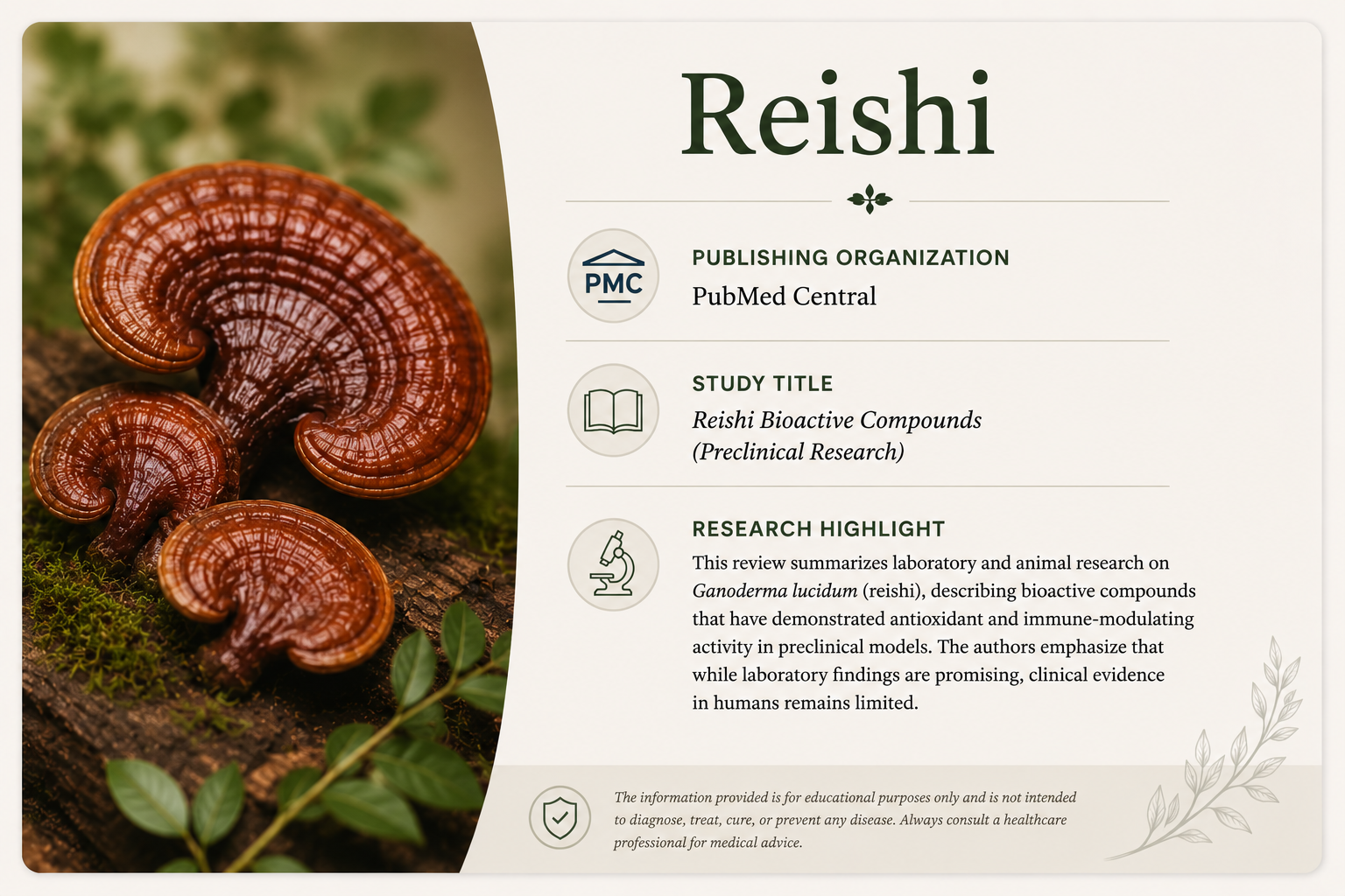 A scientific poster about reishi mushrooms, showing a close-up photograph of three reishi mushrooms on a log, with text providing information about the study, publication, and research findings.