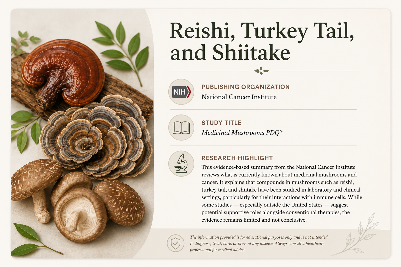 Display of medicinal mushrooms including reishi, turkey tail, shiitake, and other varieties, along with green leaves on a light background, next to an informational page about research on medicinal mushrooms.