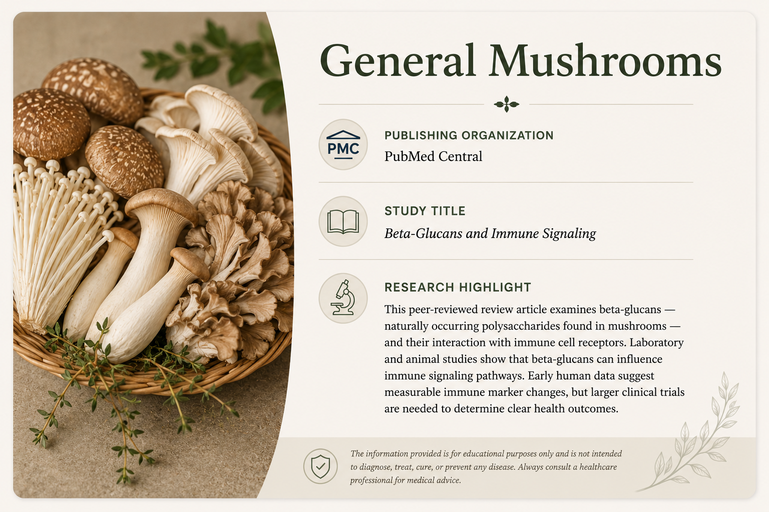 A basket of various mushrooms with a leafy sprig on a beige surface next to a white poster titled 'General Mushrooms'. The poster includes information about a research study on beta-glucans and immune signaling, with icons for publishing organization