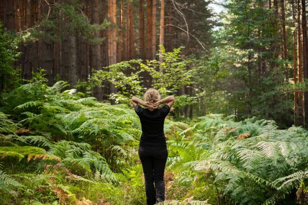 🌲 The Forest Path to Resilience: A 6-Week Individual Journey