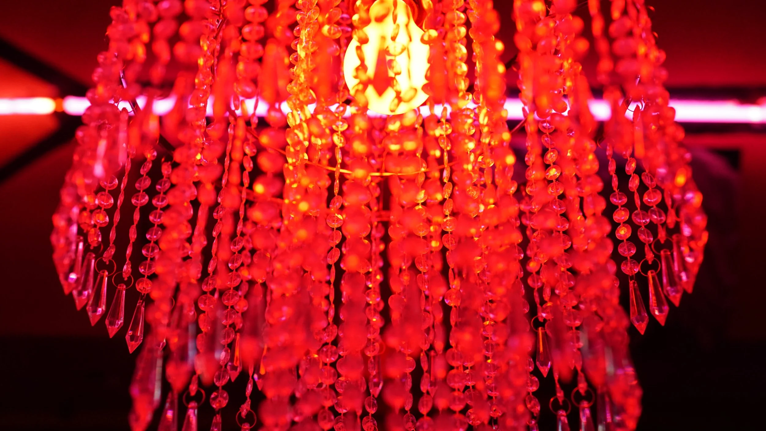 DSC03373.JPG