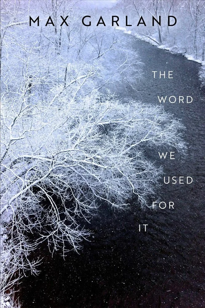 The Word We Used for It book cover, a photograph of frost covered trees over a an icy river.