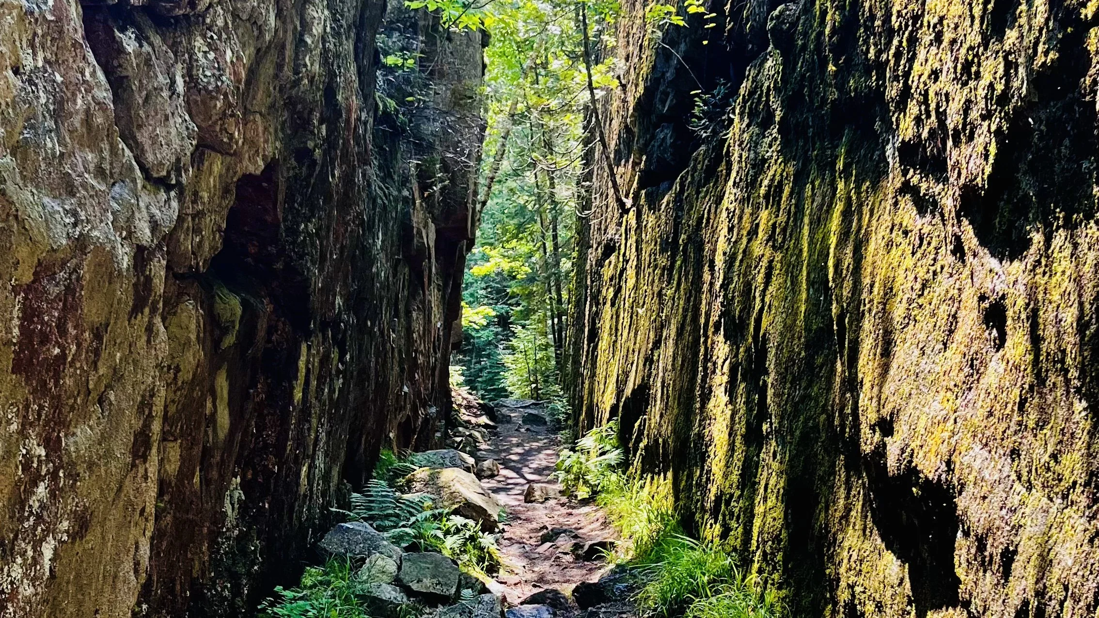 rocky but well marked trail flanked by soaring moss covered granite rock faces in the shade on a sunny day. The path to wellness is similarly bumpy but navigable with the help of a trusted therapist
