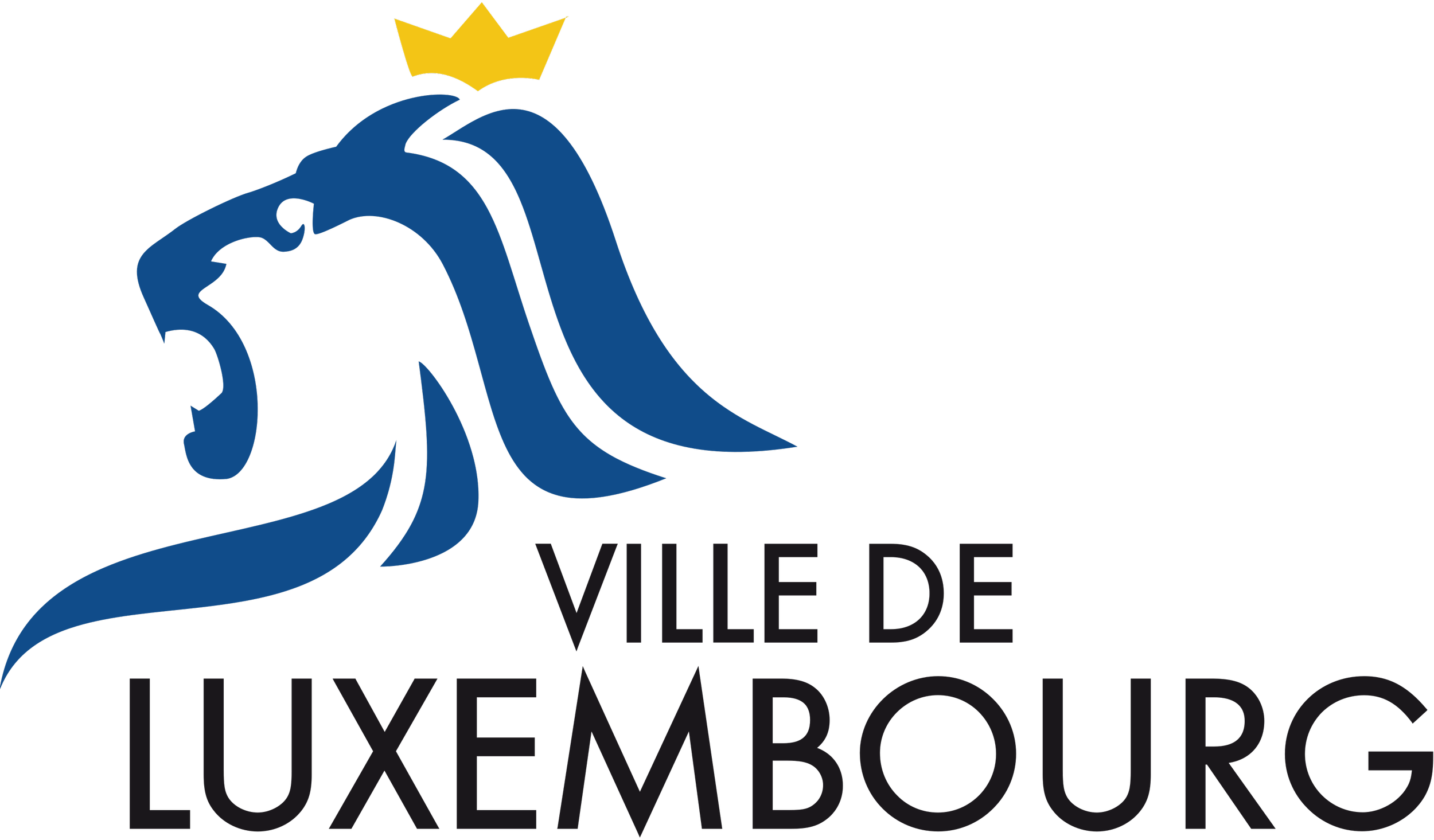 Ein Logo mit einer blauen Löwenkopf-Silhouette, einem goldenen Krönchen darüber und schwarzen Text, der liest: "Ligue du Lyonnais 2e édition".