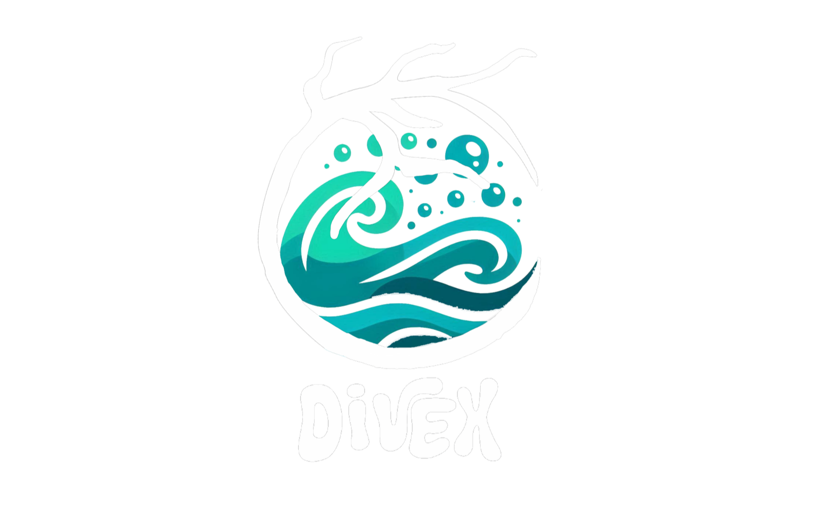 Logo con un cuore stilizzato che racchiude onde e bolle d'acqua, con il testo "DIVEX" sotto, su sfondo nero.