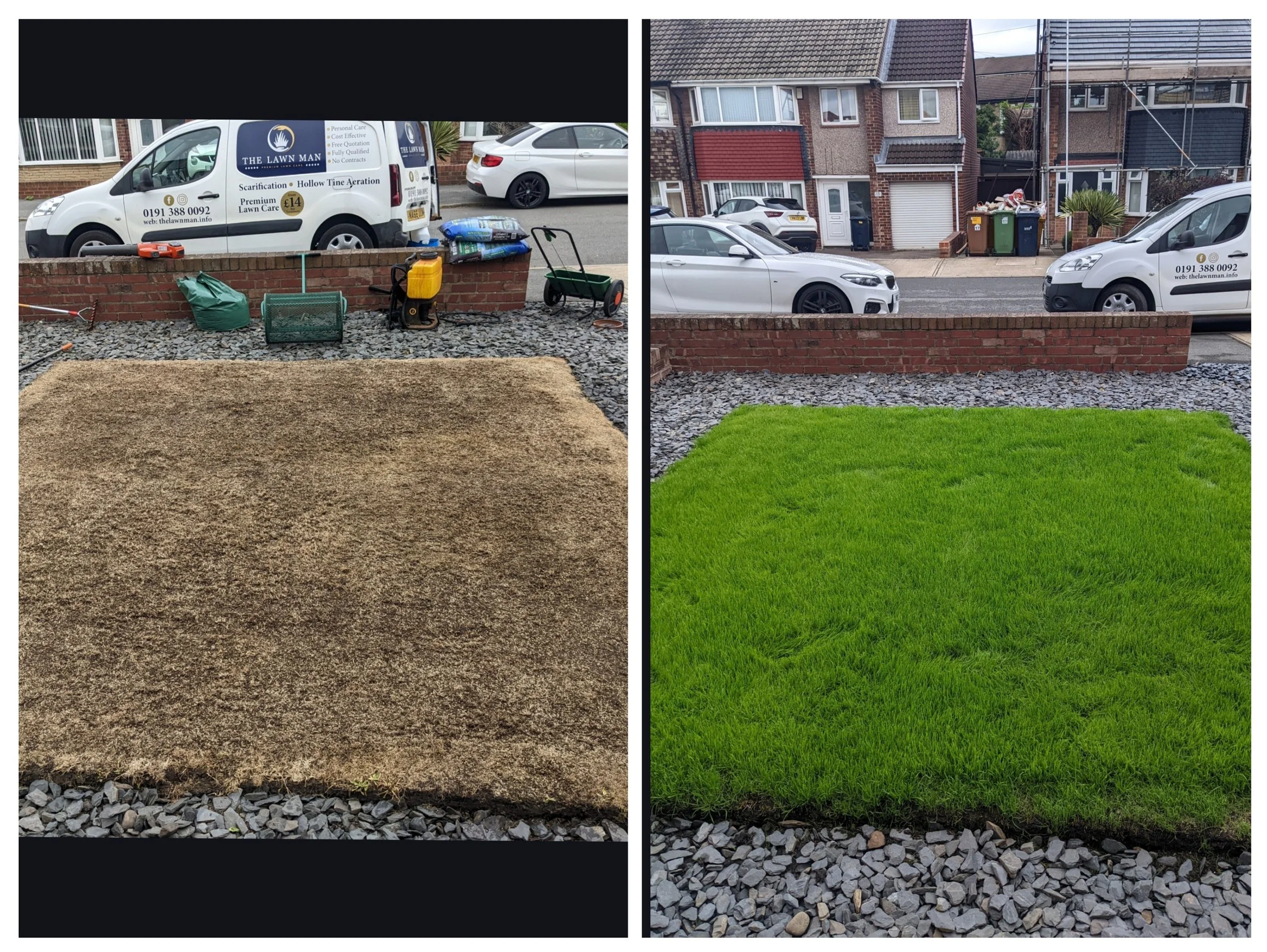 Lawn Renovation