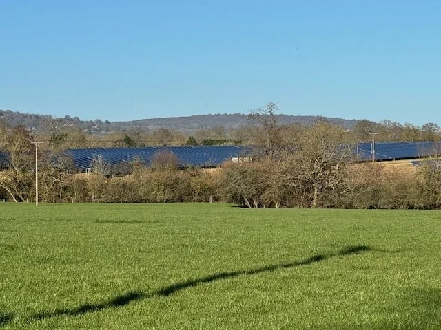 A grassy field with solar panels on a hill in the background and a clear blue sky.