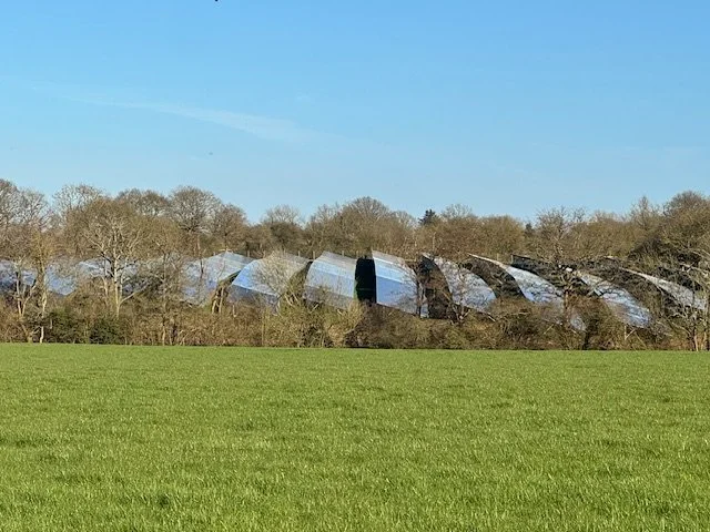 A row of greenhouses on a hill behind a grassy field with trees under a clear blue sky.