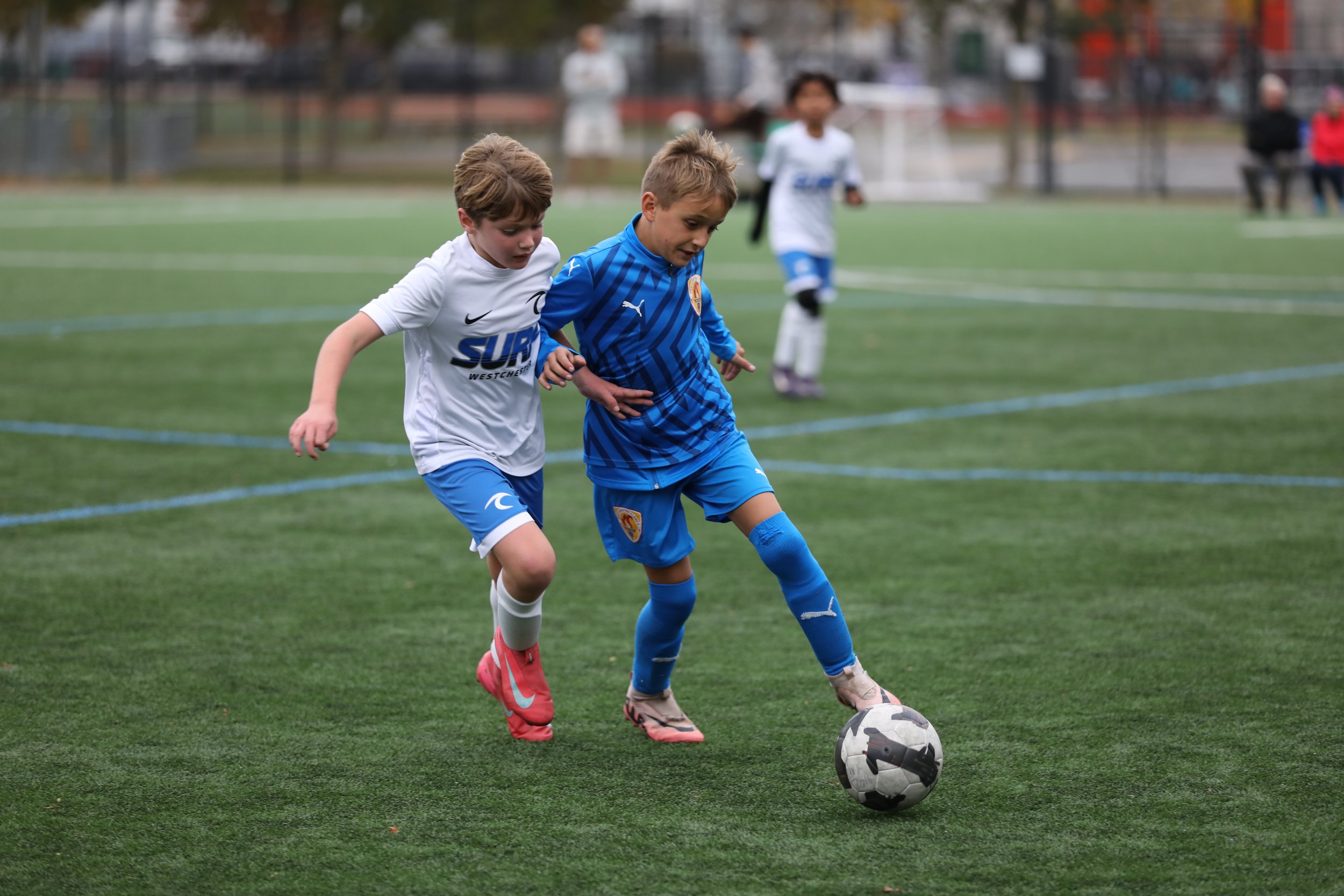 PortraitModes.com by Silvana DeFrancis 457A4102.JPG