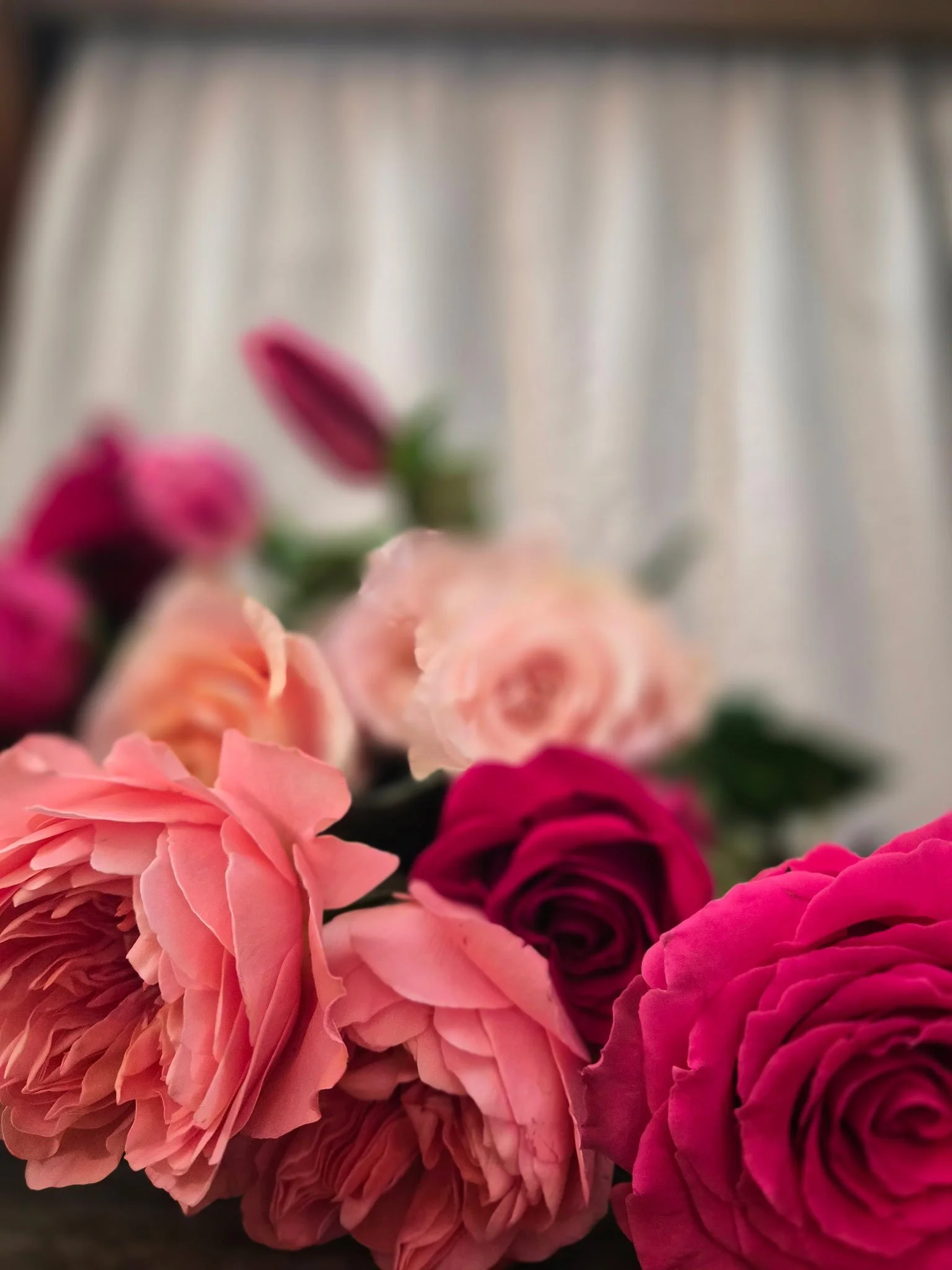 Pink, blush, and red roses from Vagabond Blooms in Westport NY