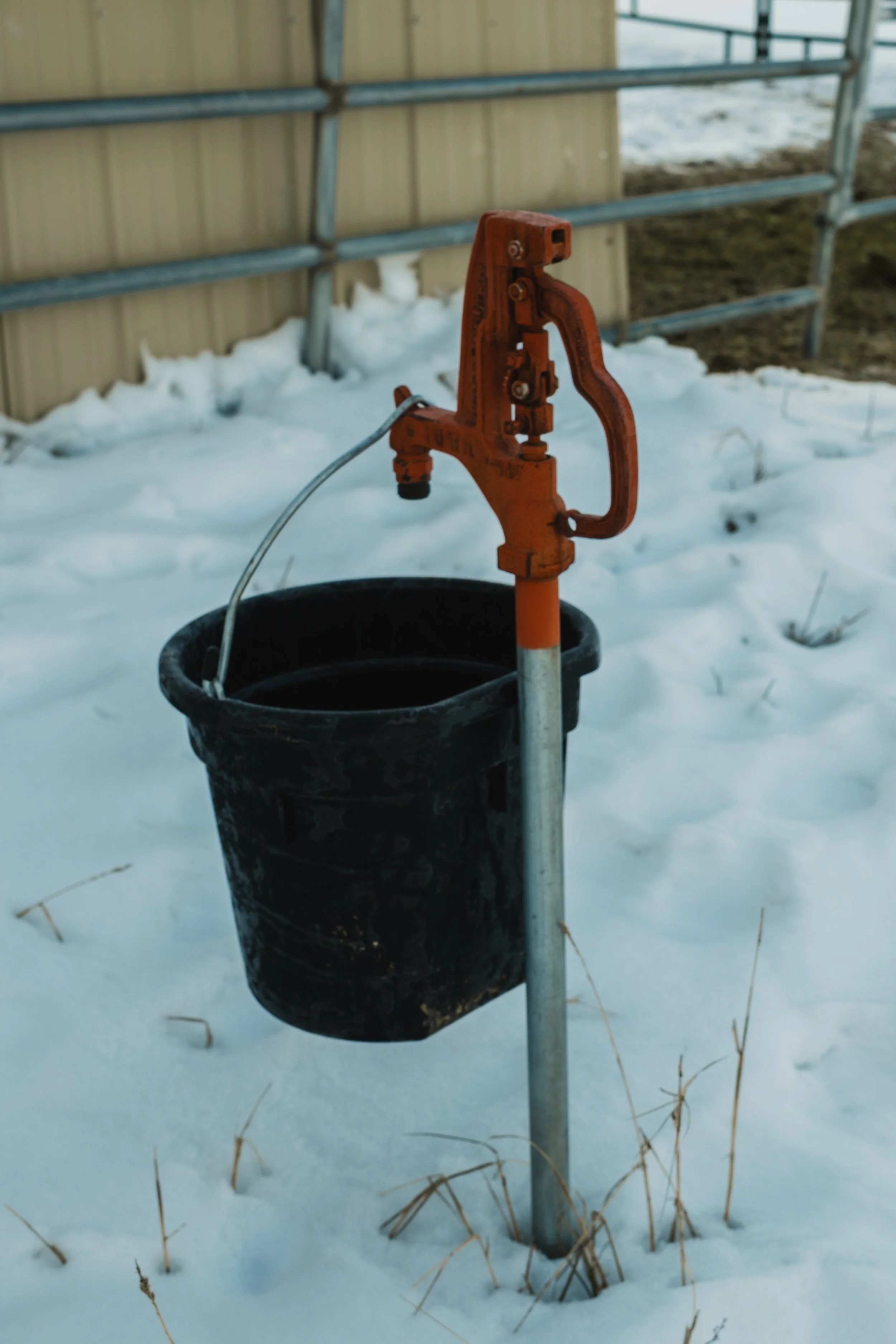 DSCF9397.jpg