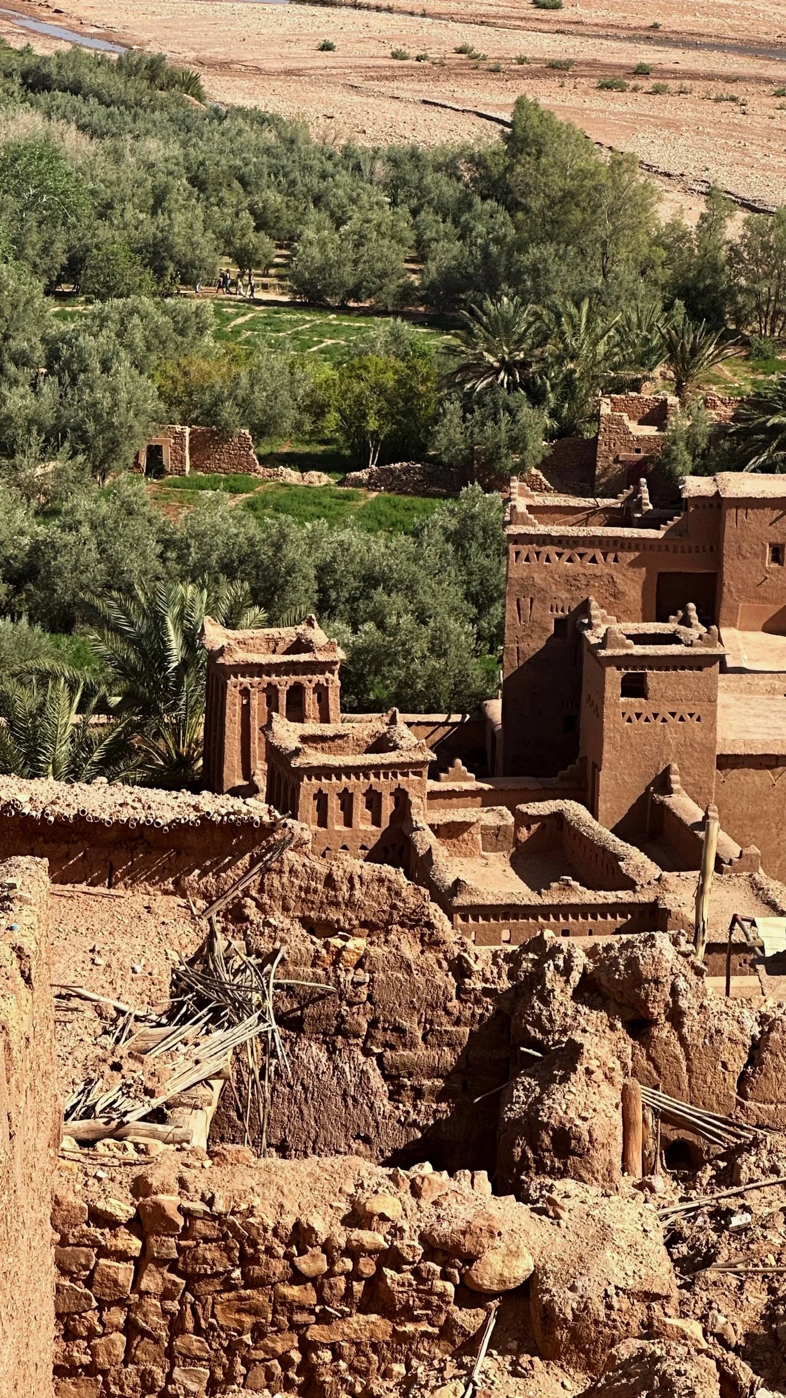 Ancient mud-brick buildings and ruins surrounded by green vegetation under a desert landscape.