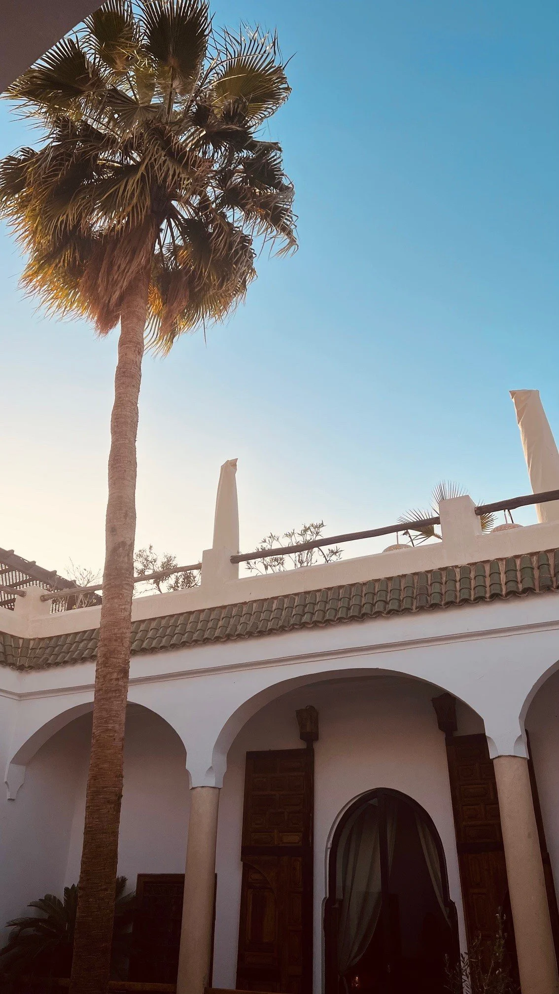 A tall palm tree in front of a Spanish-style white building with arched openings and a tiled roof, under a clear blue sky.