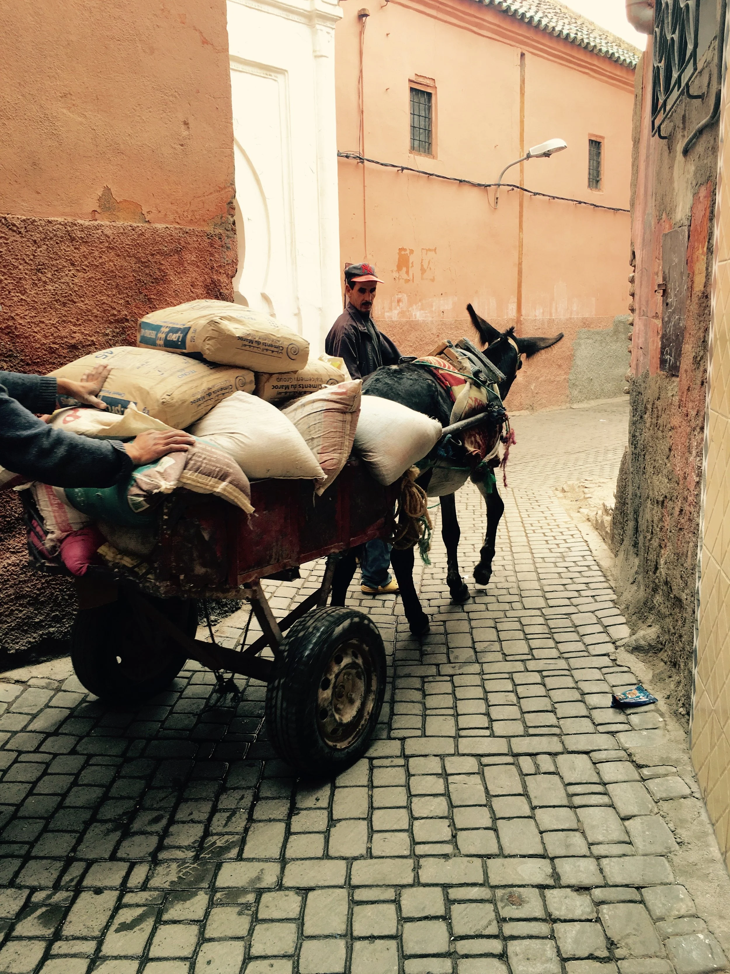 A man riding a donkey-drawn cart filled with sacks, along a narrow cobblestone street between orange and pink buildings.