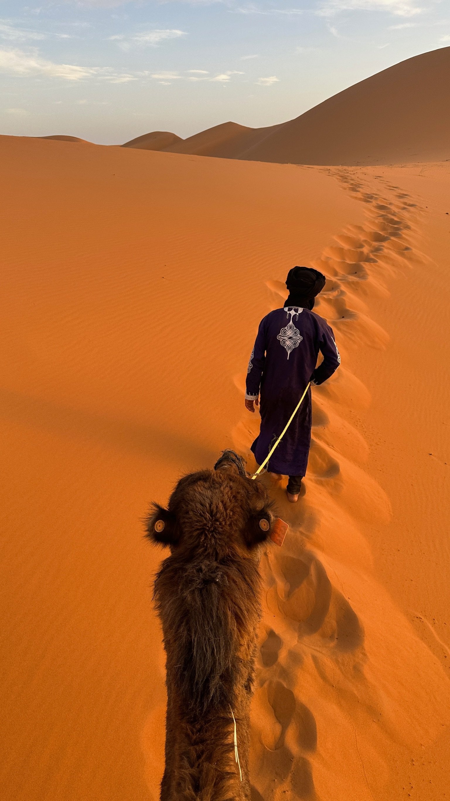 A person walking on the sand dunes in a desert, leading a camel with a child riding on it, velvety footprints trail behind them.