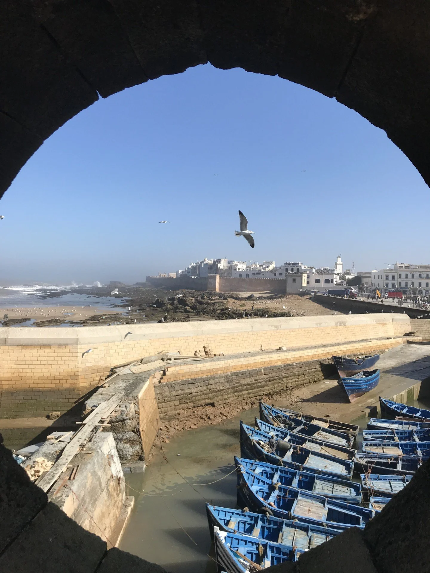 Seagulls flying over a beach with boats and historic buildings, viewed through a stone arch.