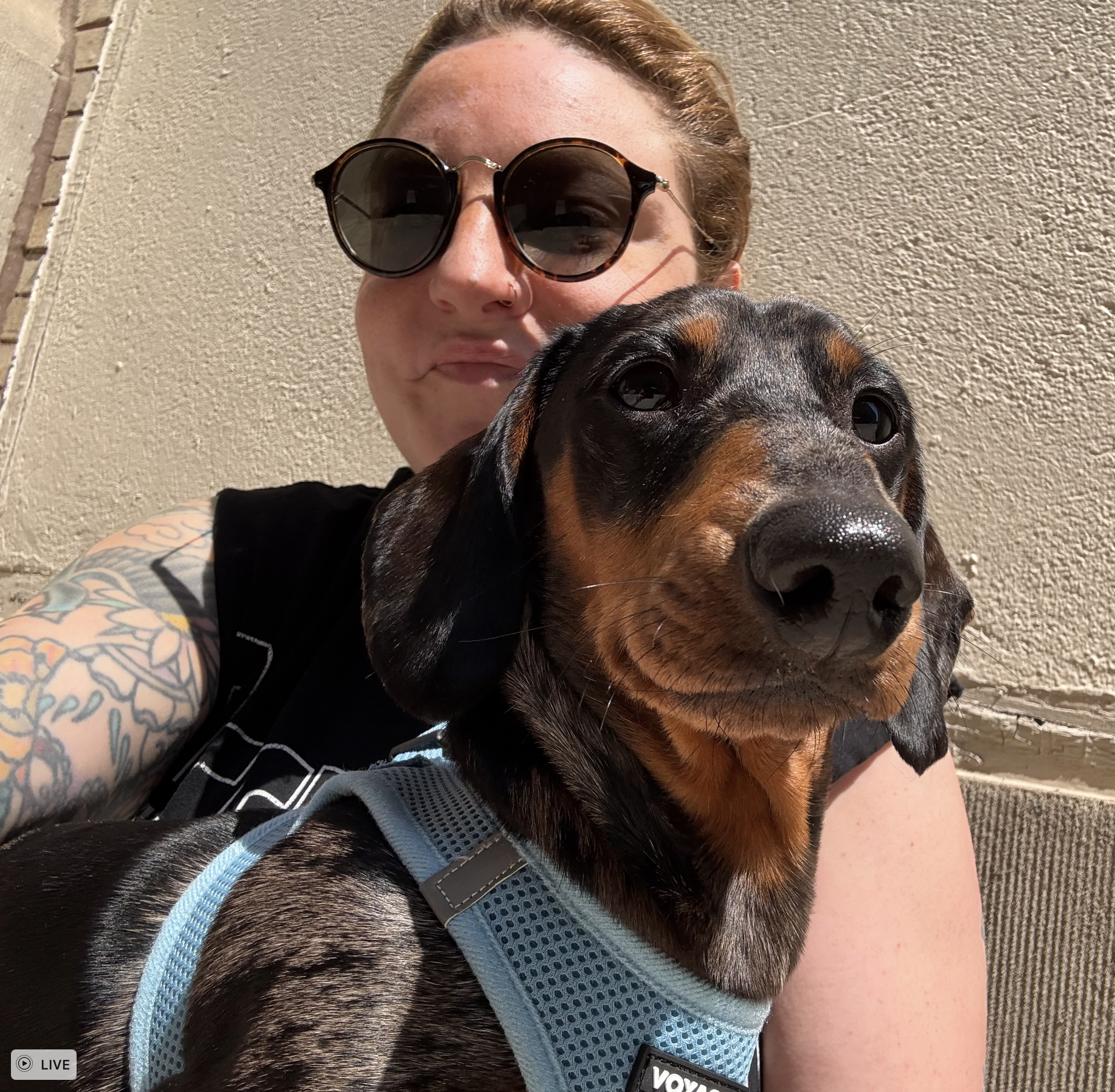 Screenshot 2026-03-04 at 6.28.27 PM.png