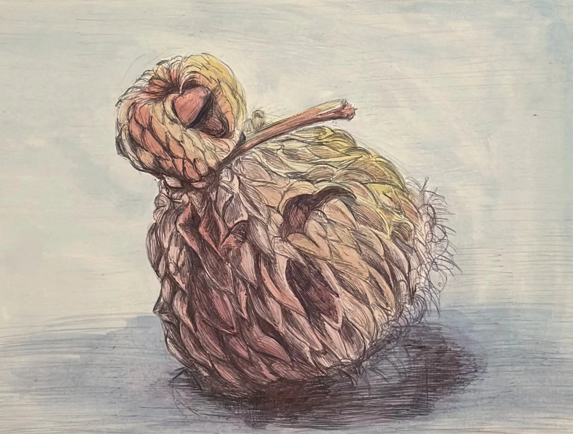 "Arnold", Pen and Acrylic, --, 12/14/24