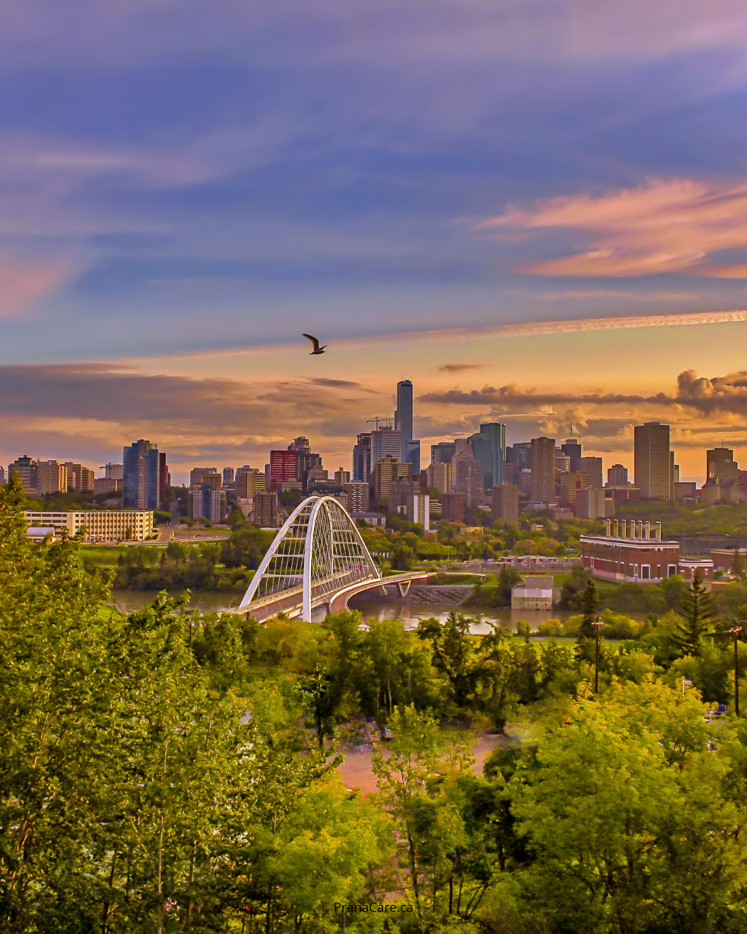 Why Anxiety Looks Different in Edmonton’s Communities