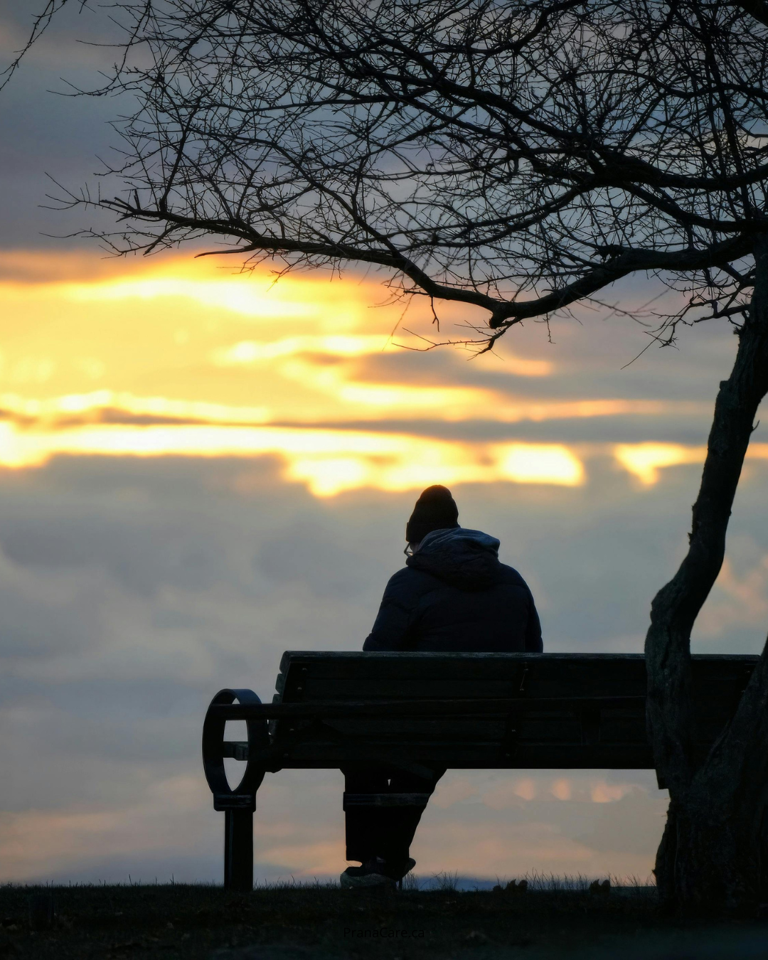 Men’s Mental Health in Small‑Town Alberta: What We Don’t Talk About