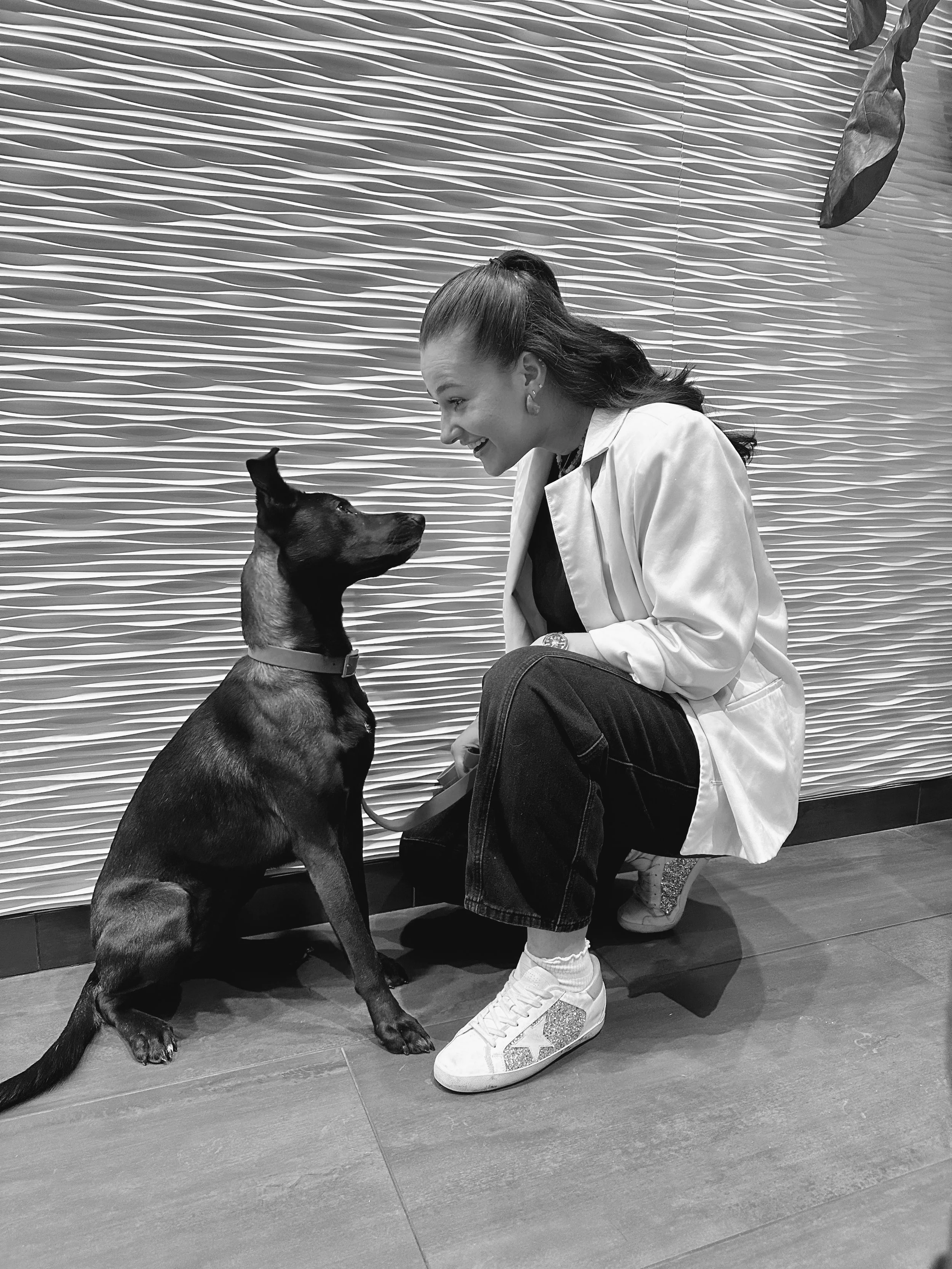 A woman with dark hair in a ponytail wearing a white jacket, black shirt, and jeans crouching down to interact with a black and brown dog indoors, with a textured wall in the background.