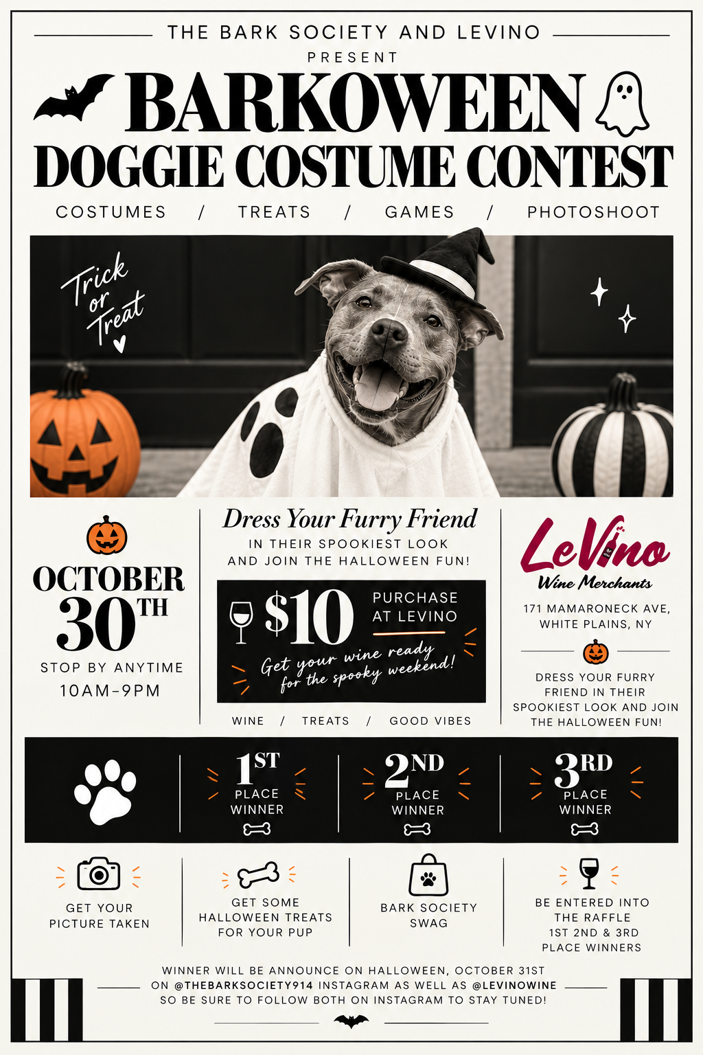 Flyer for 'Barkoween Doggie Costume Contest' hosted by The Bark Society and Levino, featuring a happy dog dressed as a witch with a black hat, ghost and pumpkin decorations, and details about the event including date, time, location, prizes, and activities.