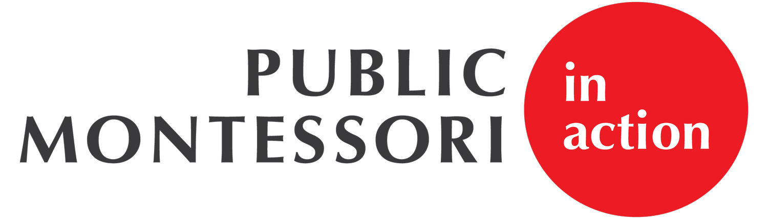 Public Montessori in Action logo