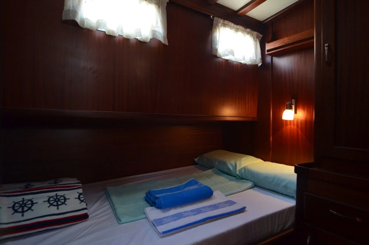 artemis-3.jpg