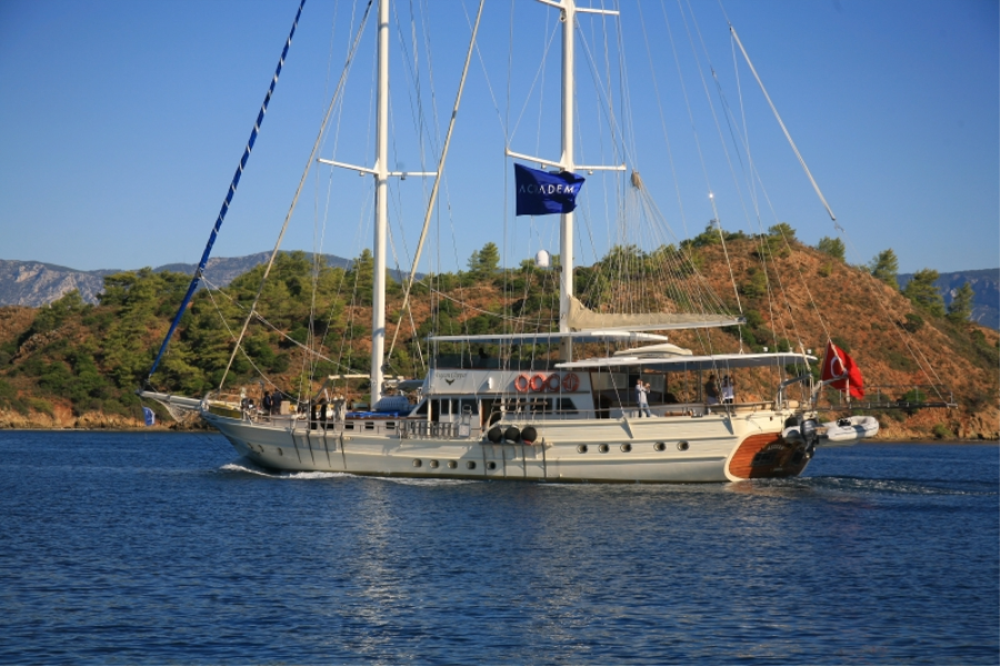 aegean-clipper-8.png