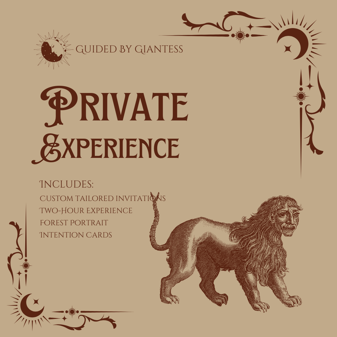 This card has magical elements on it including moons and stars. It gives further information about private Forest Immersion Experiences.