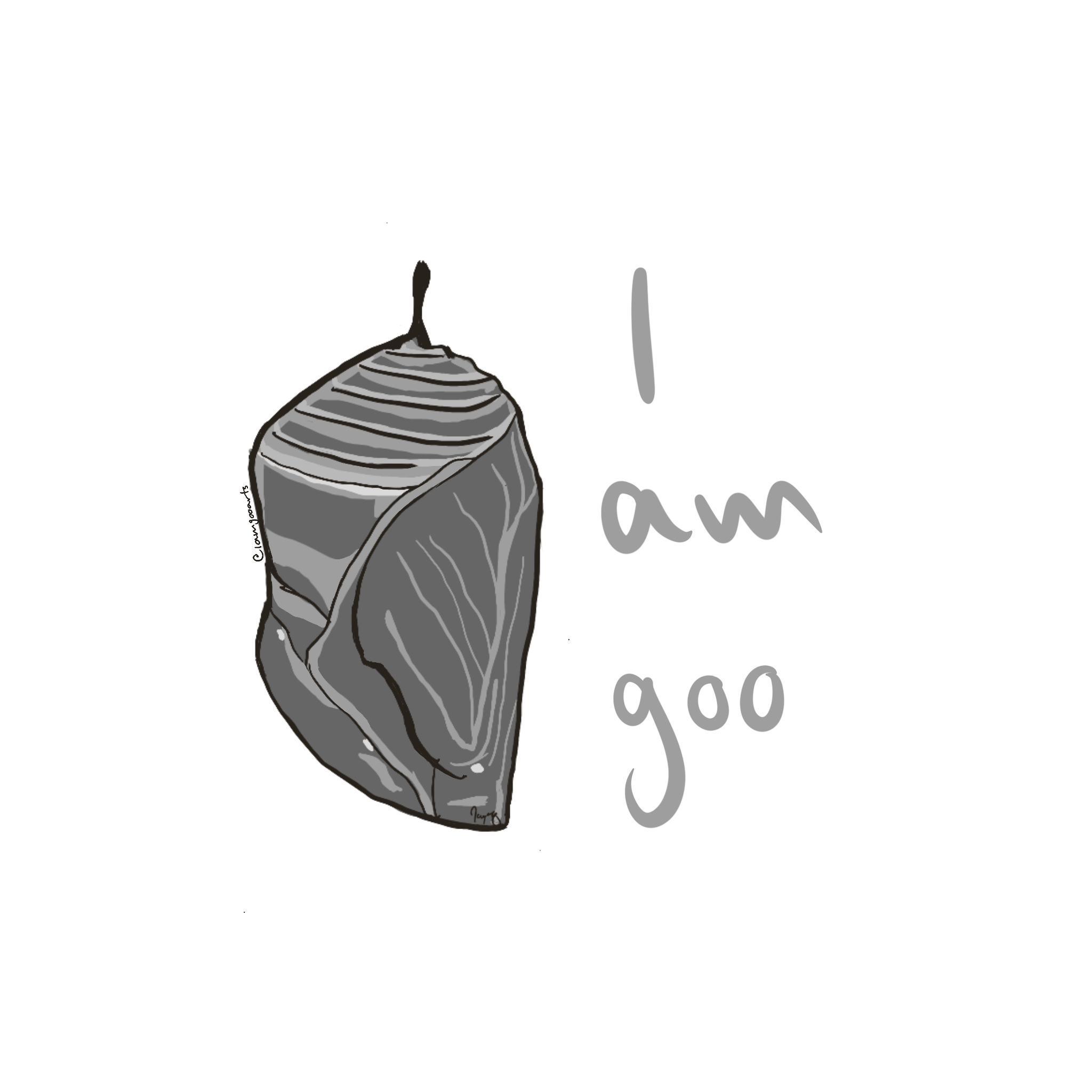 IMG_1670.png