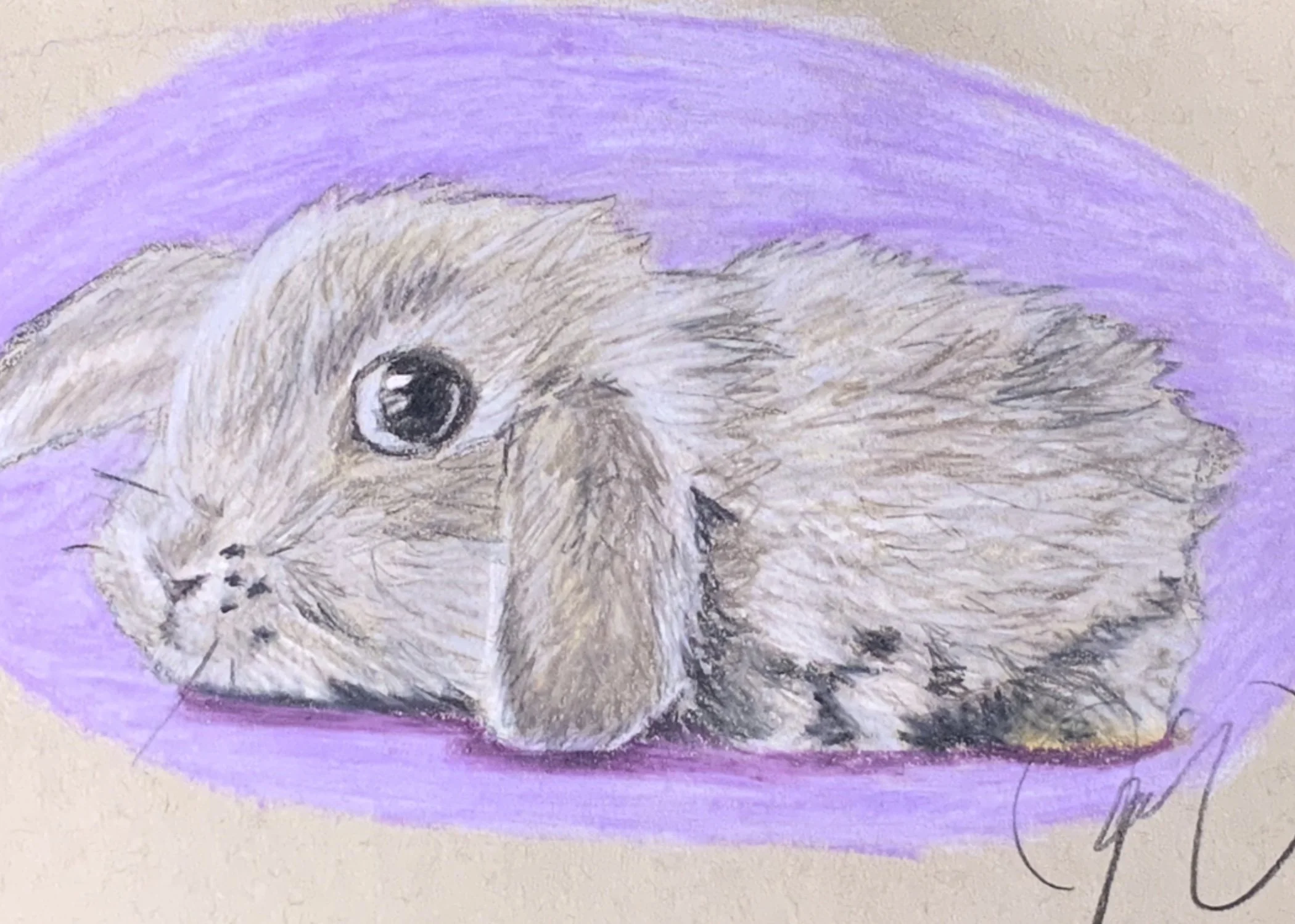 “Gray Rabbit” Fine Art Print