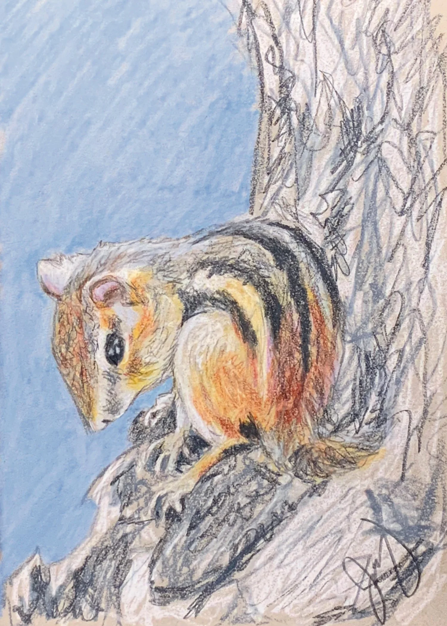 “Chipmunk” Fine Art Print