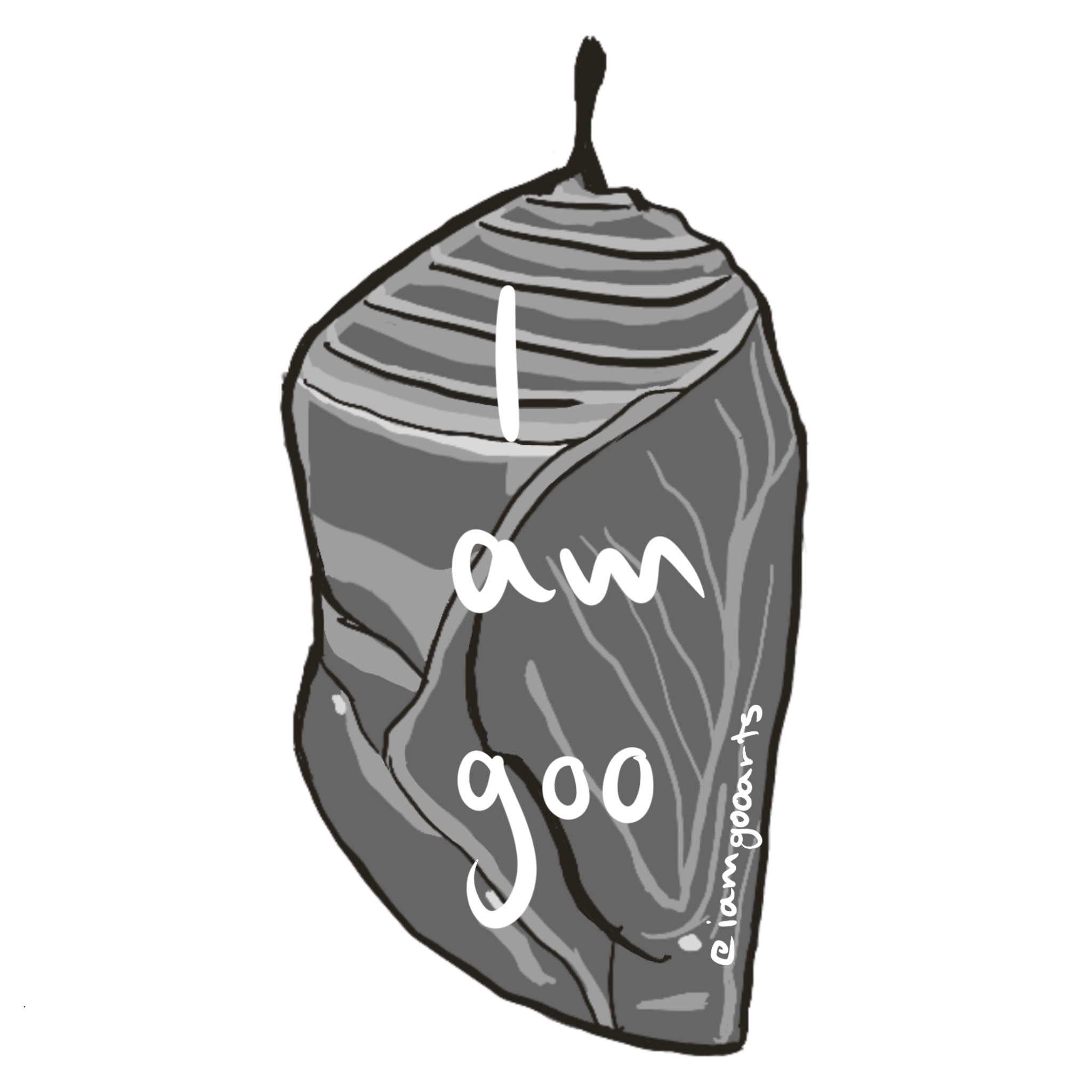 IMG_1406.png