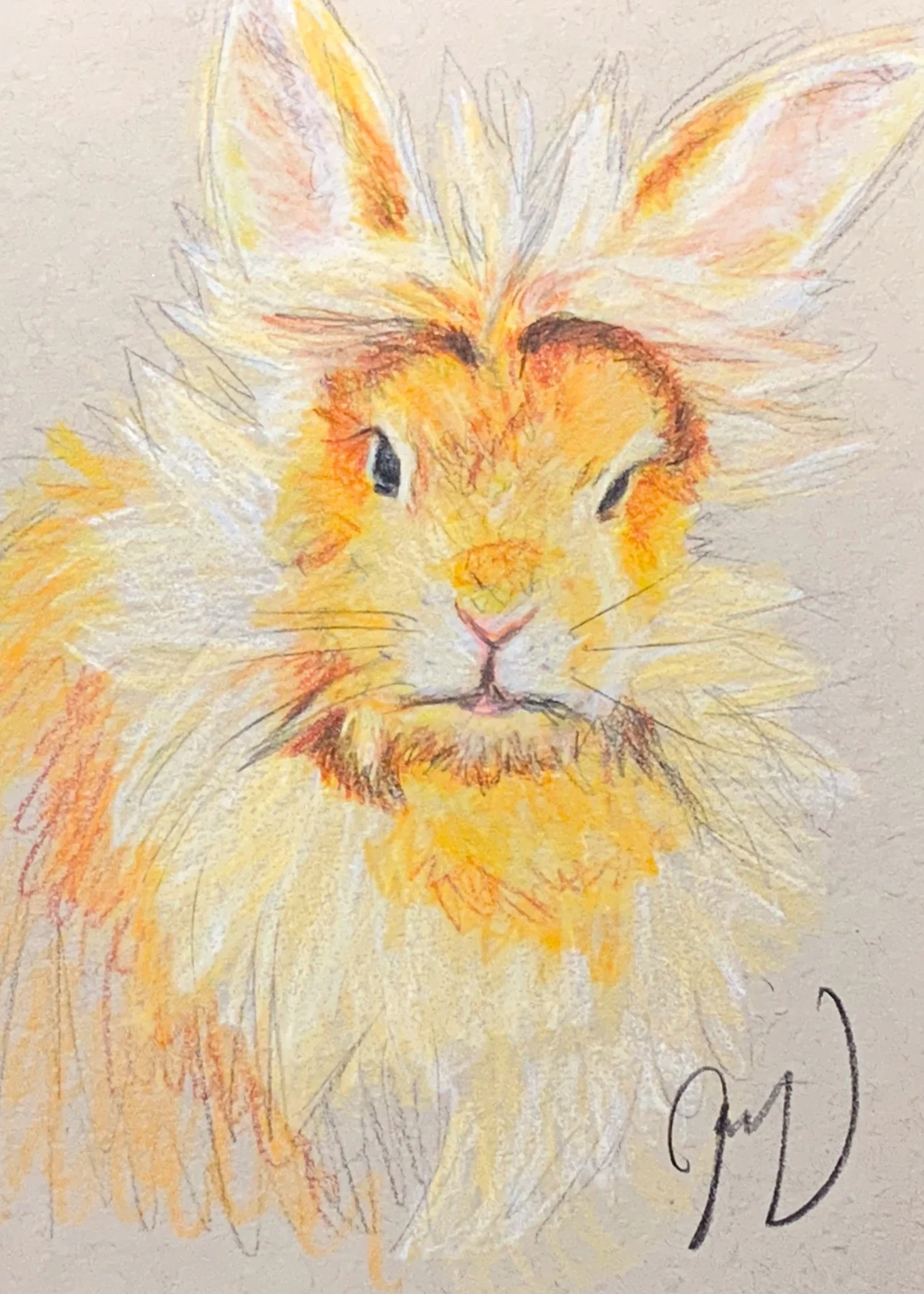 “Orange Rabbit” Fine Art Print