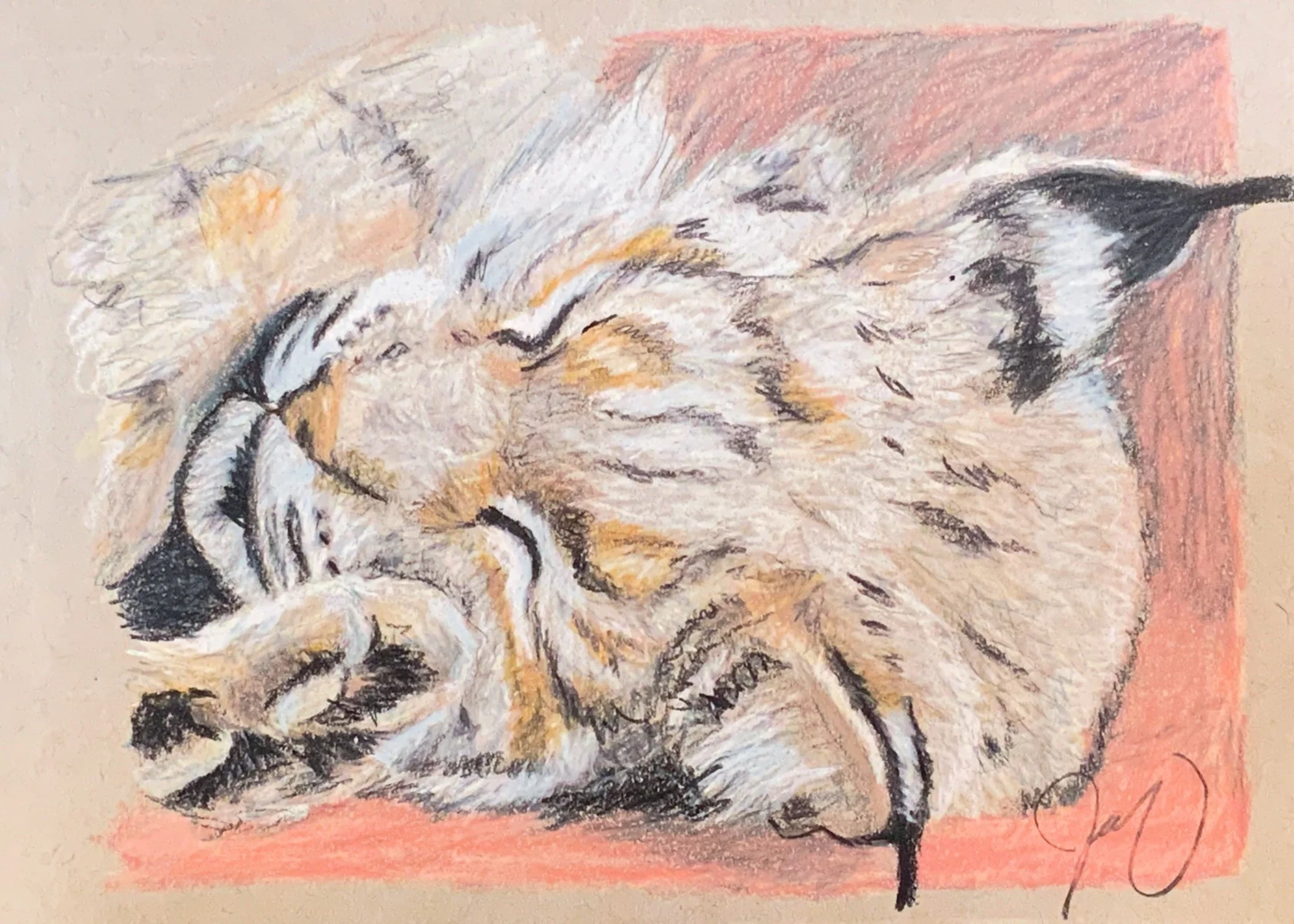 “Cat Nap” Fine Art Print