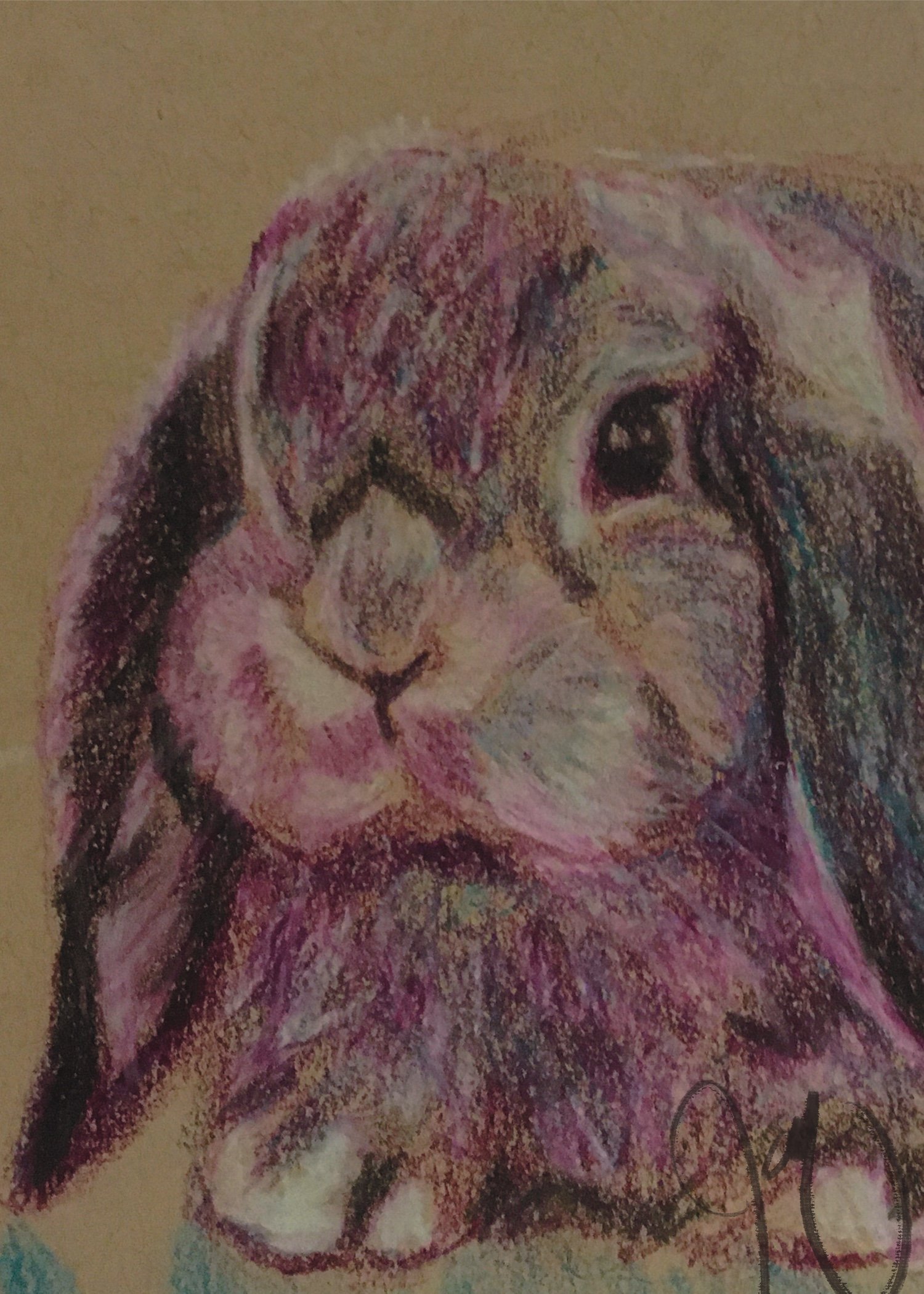 IMG_2844.jpeg