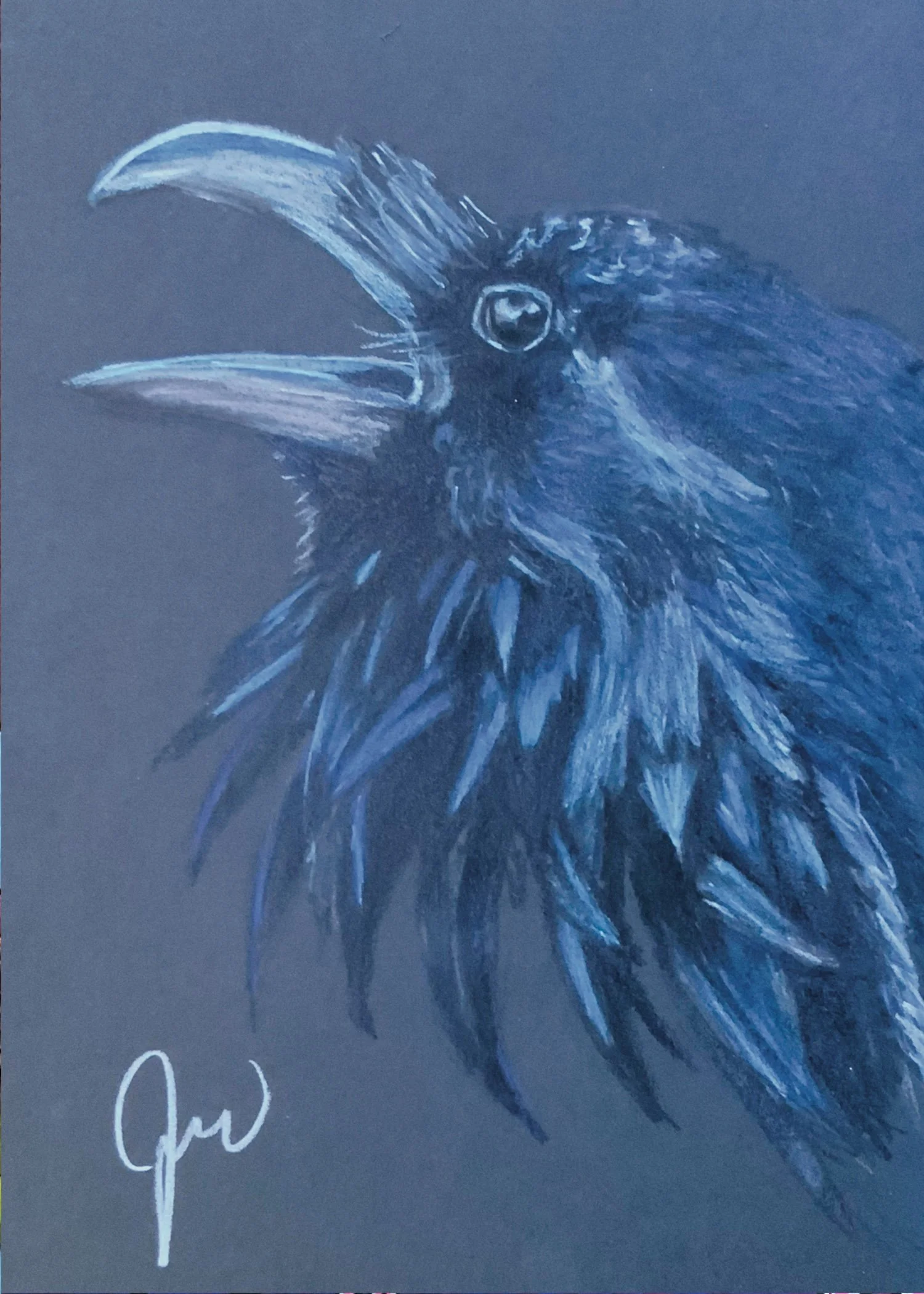 “Raven” Fine Art Print