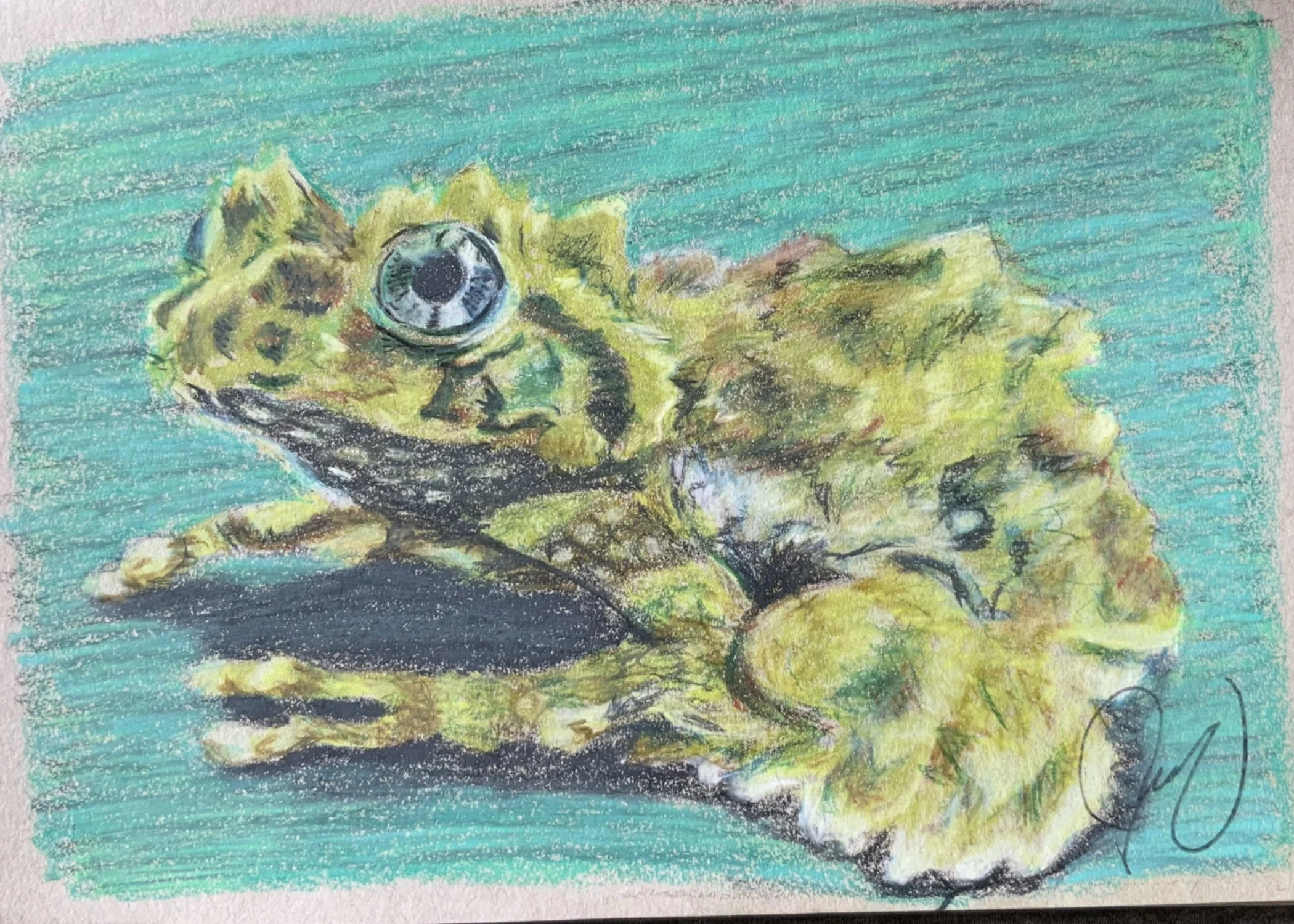 “Moss Frog” Fine Art Print
