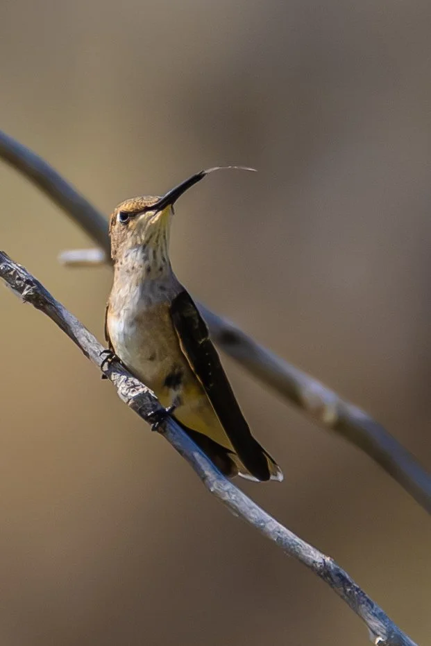 Blacks Creek 9-8-2024-20.jpg