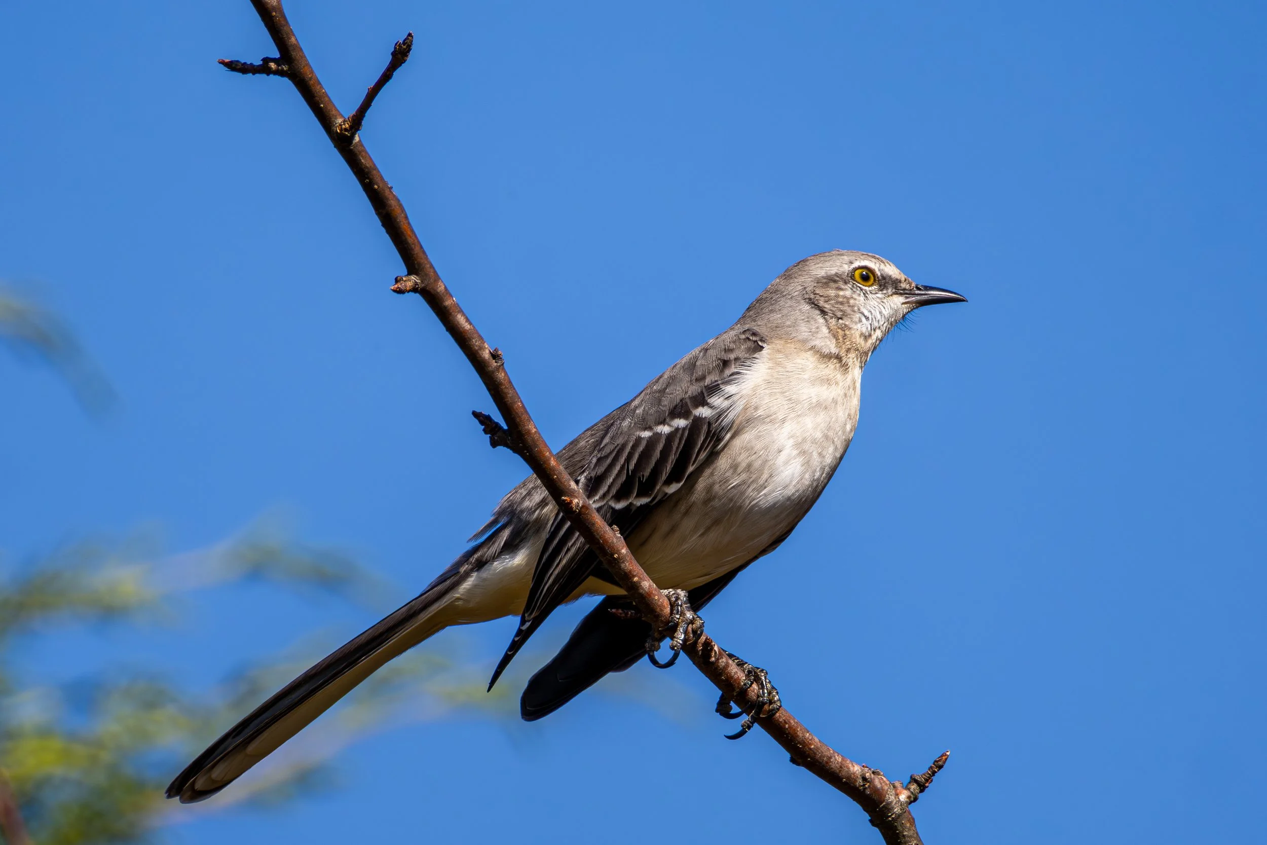 Raleigh NC Oct 28 2024-10.jpg