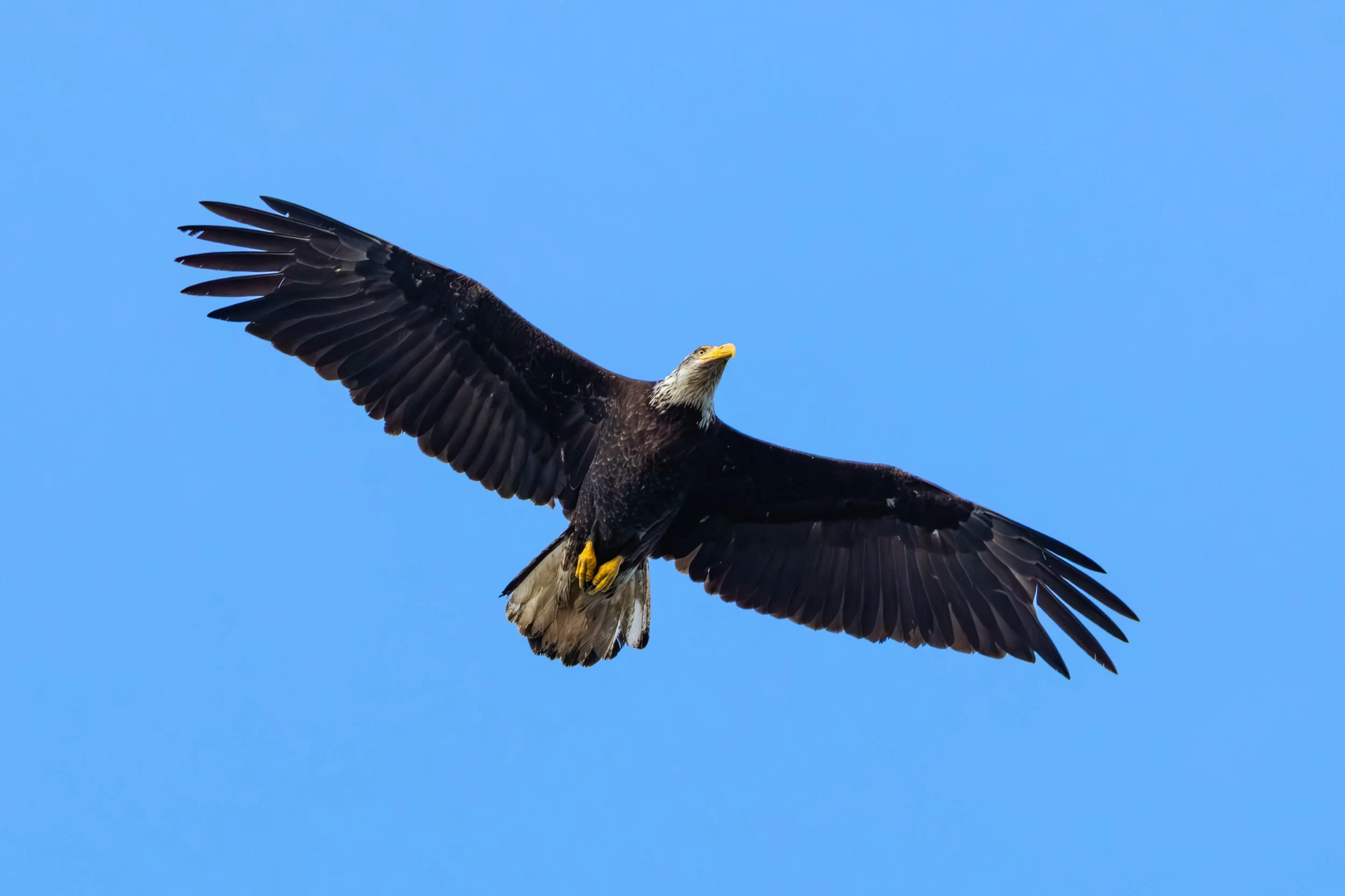 Seattle Trip 5-3-25-41.jpg