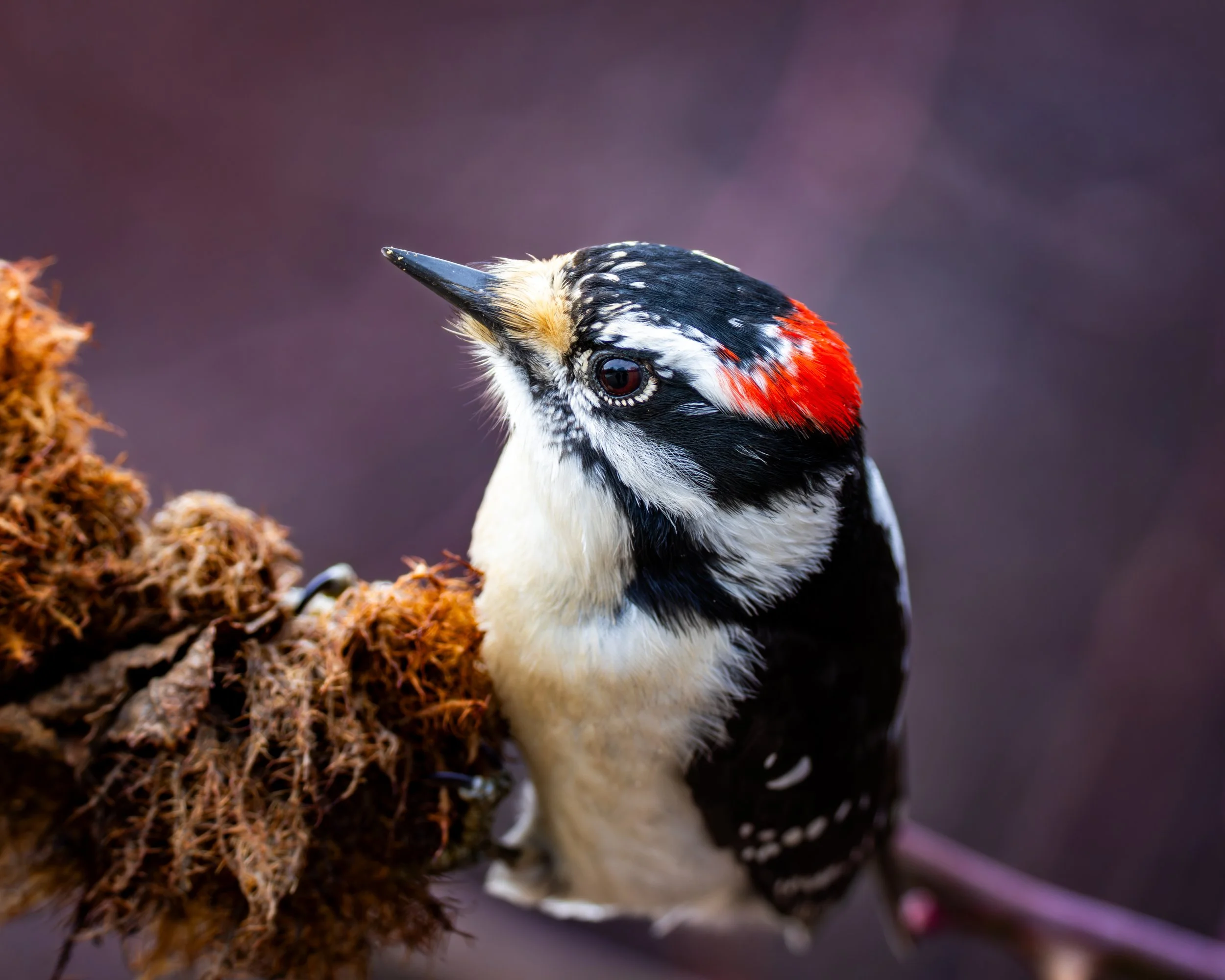 Hyatt 1-12-2025-15.jpg