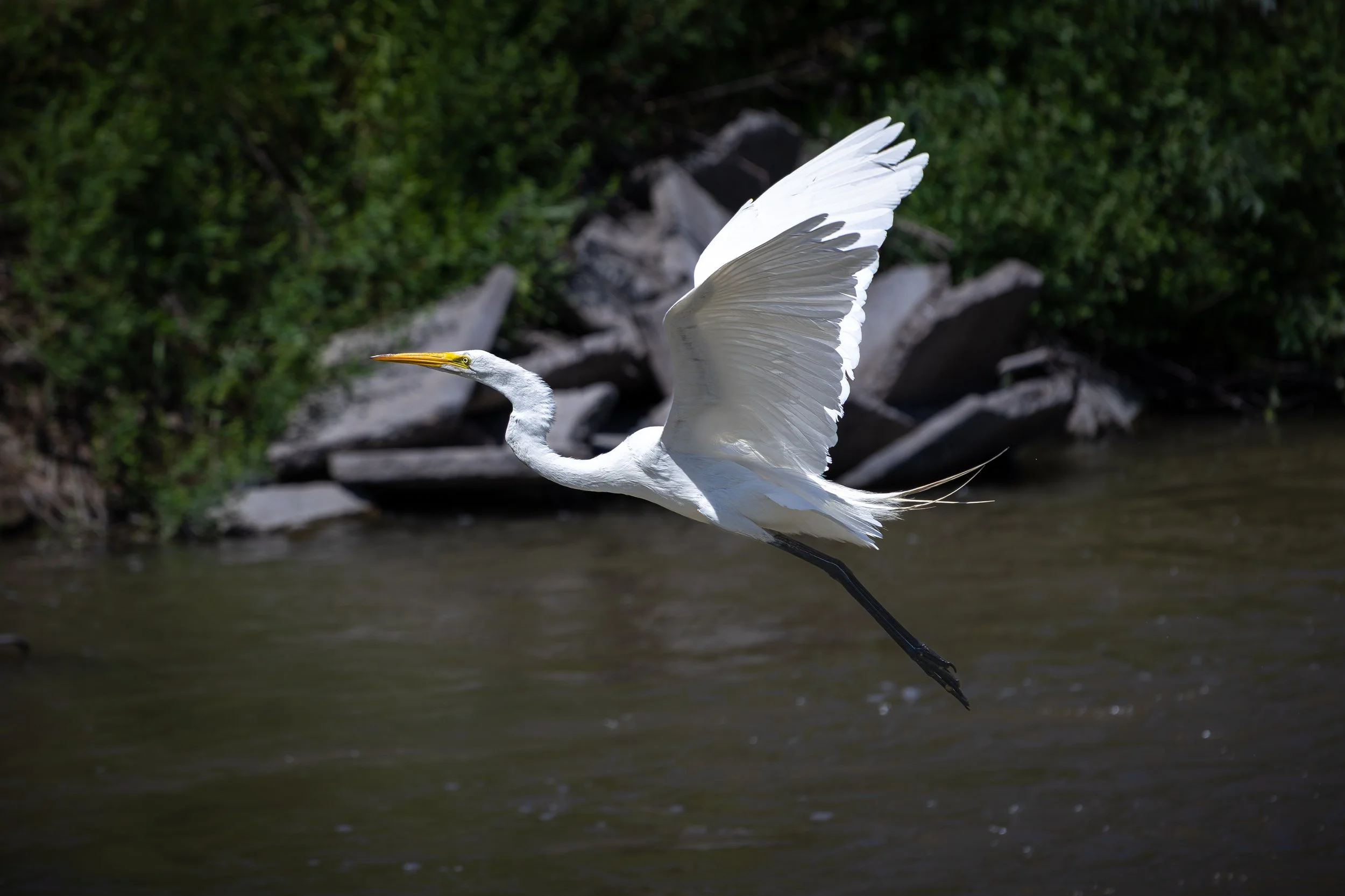 Onterio 7-12-25-2.jpg